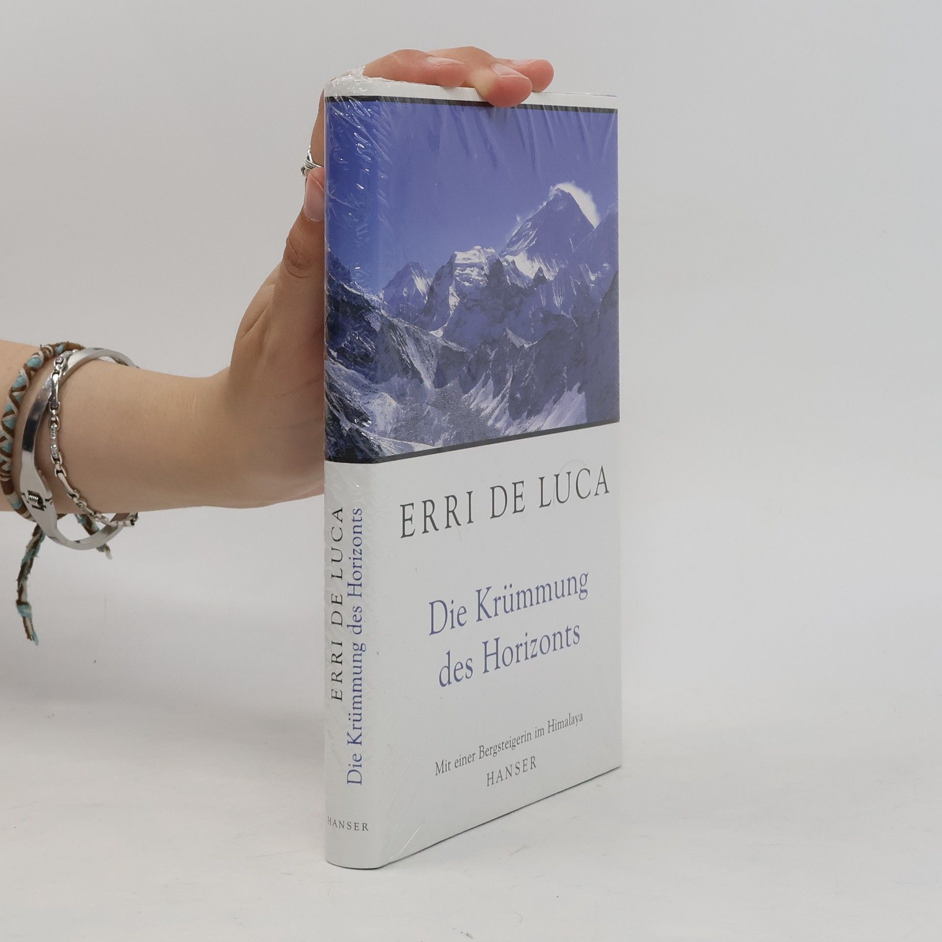 Erri De Luca Die Krümmung des Horizonts