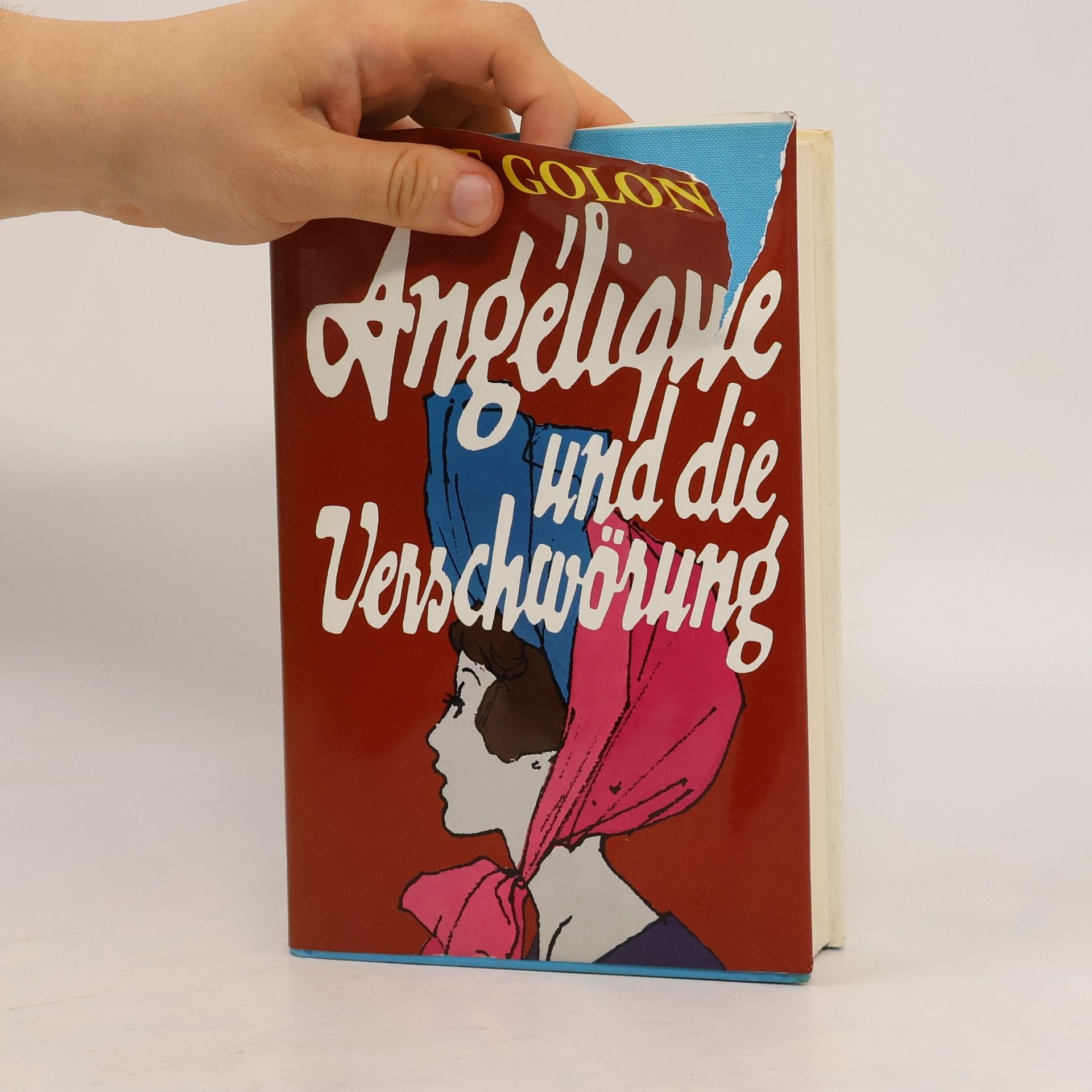 Anne Golon Angélique und die Verschwörung