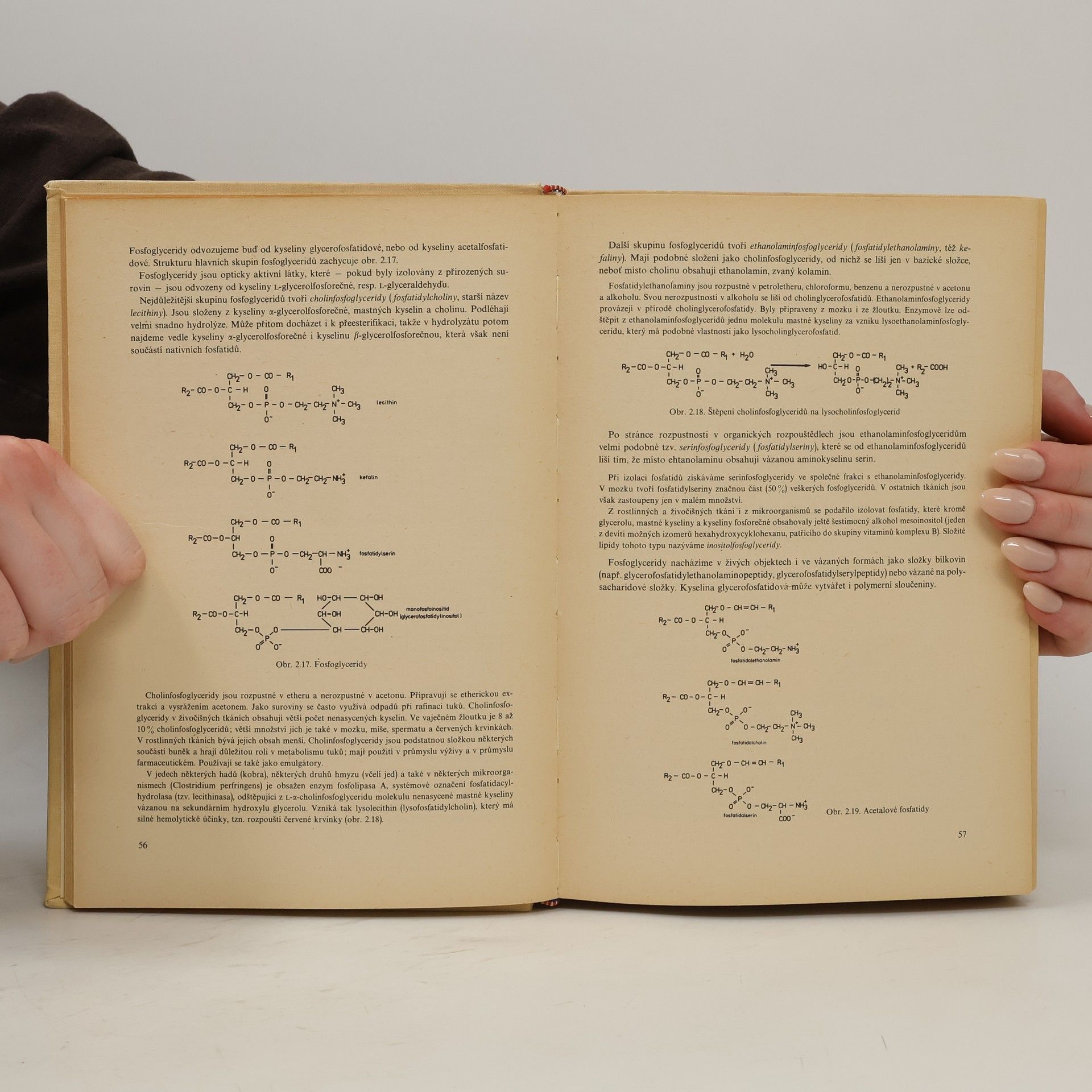Vl. Šícho Potravinářská biochemie
