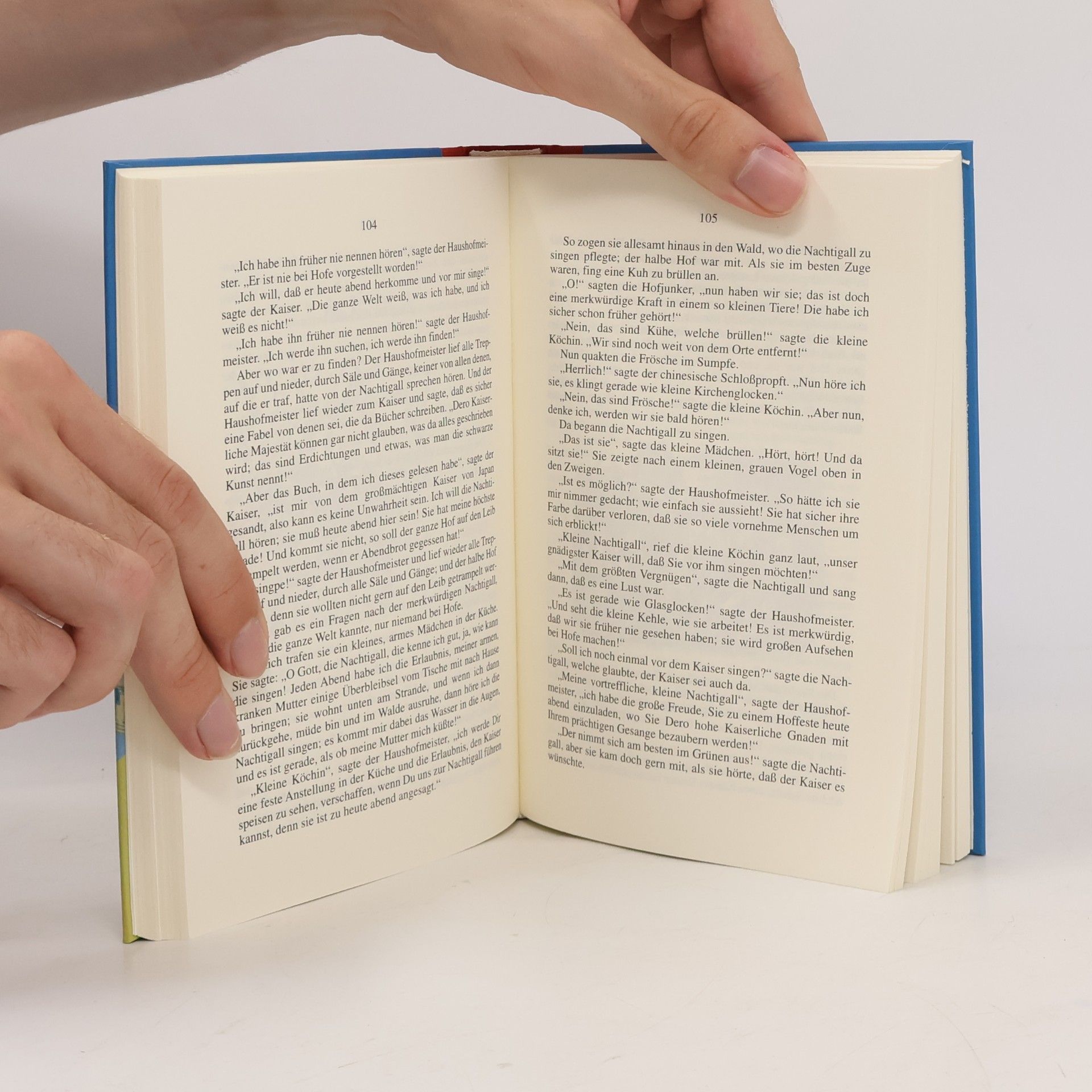 Hans Christian Andersen Ausgewählte Märchen