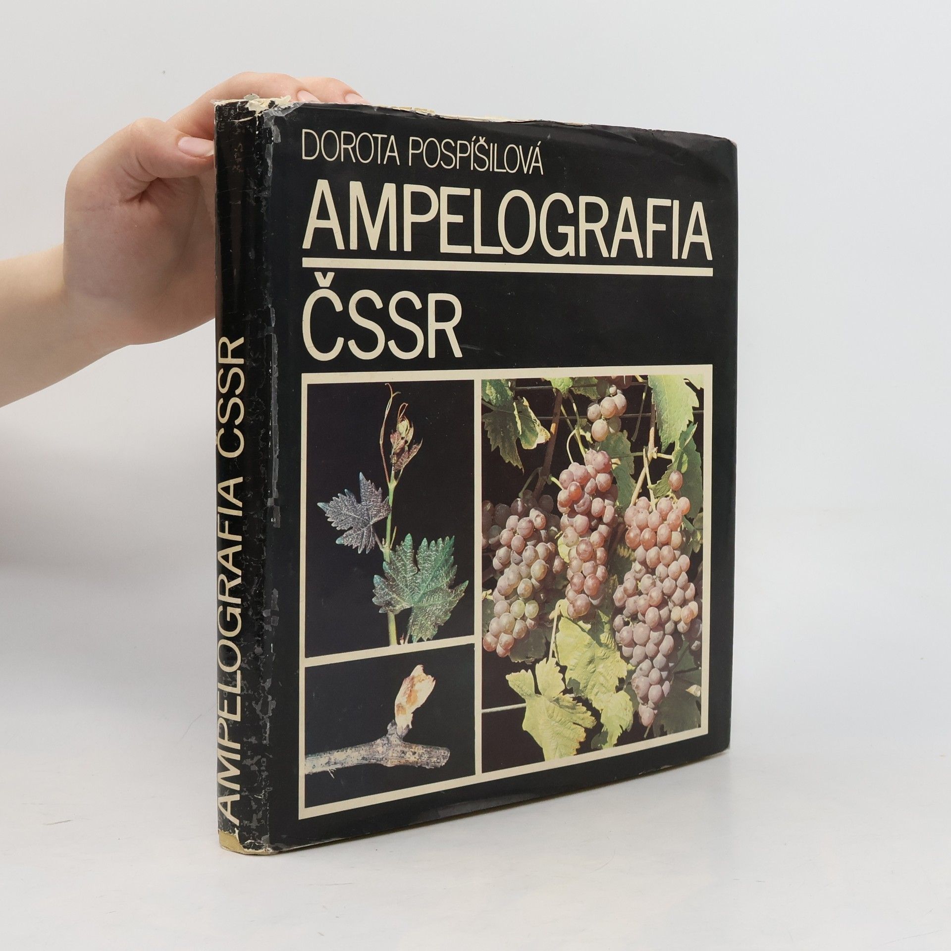 Dorota Pospíšilová Ampelografia ČSSR