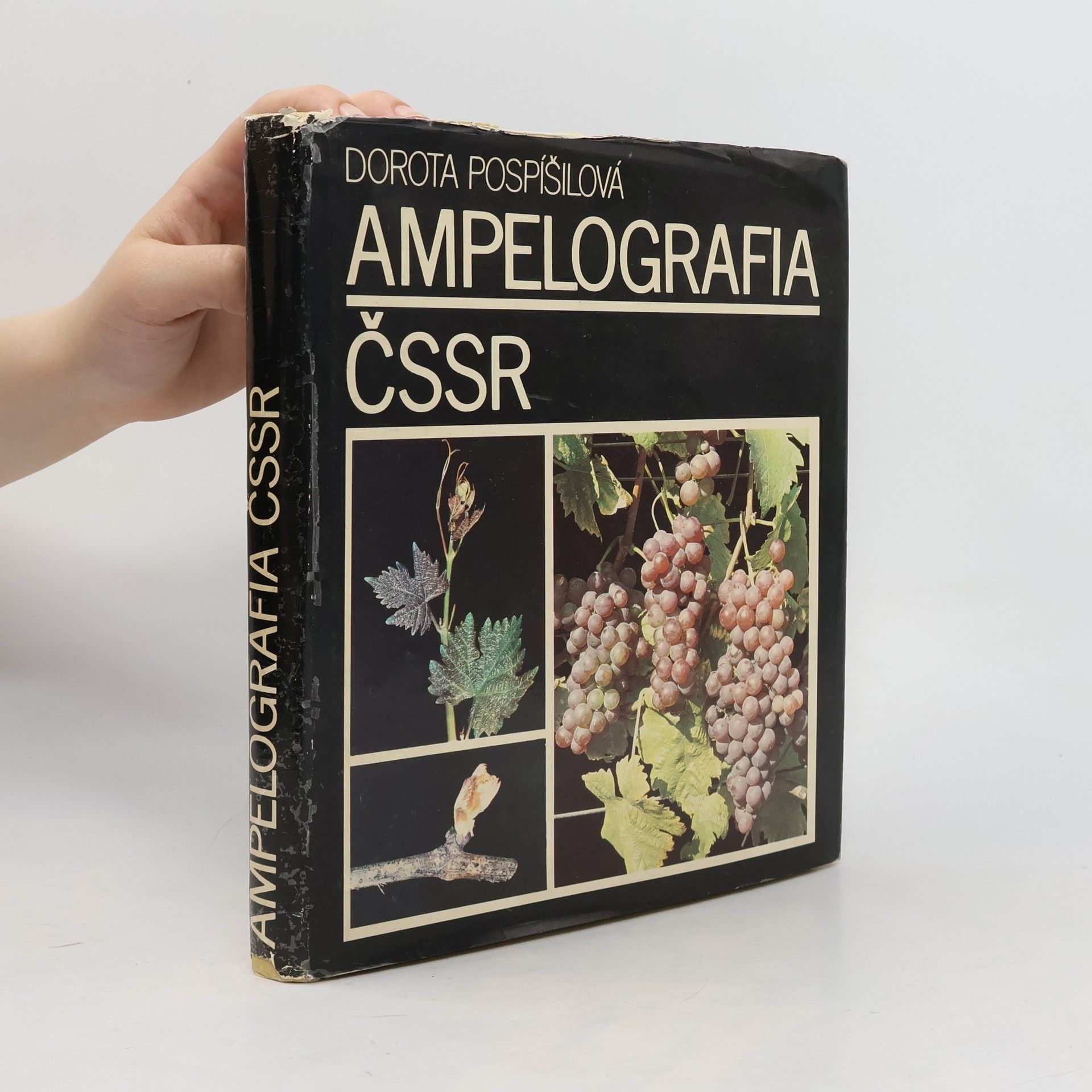 Dorota Pospíšilová Ampelografia ČSSR