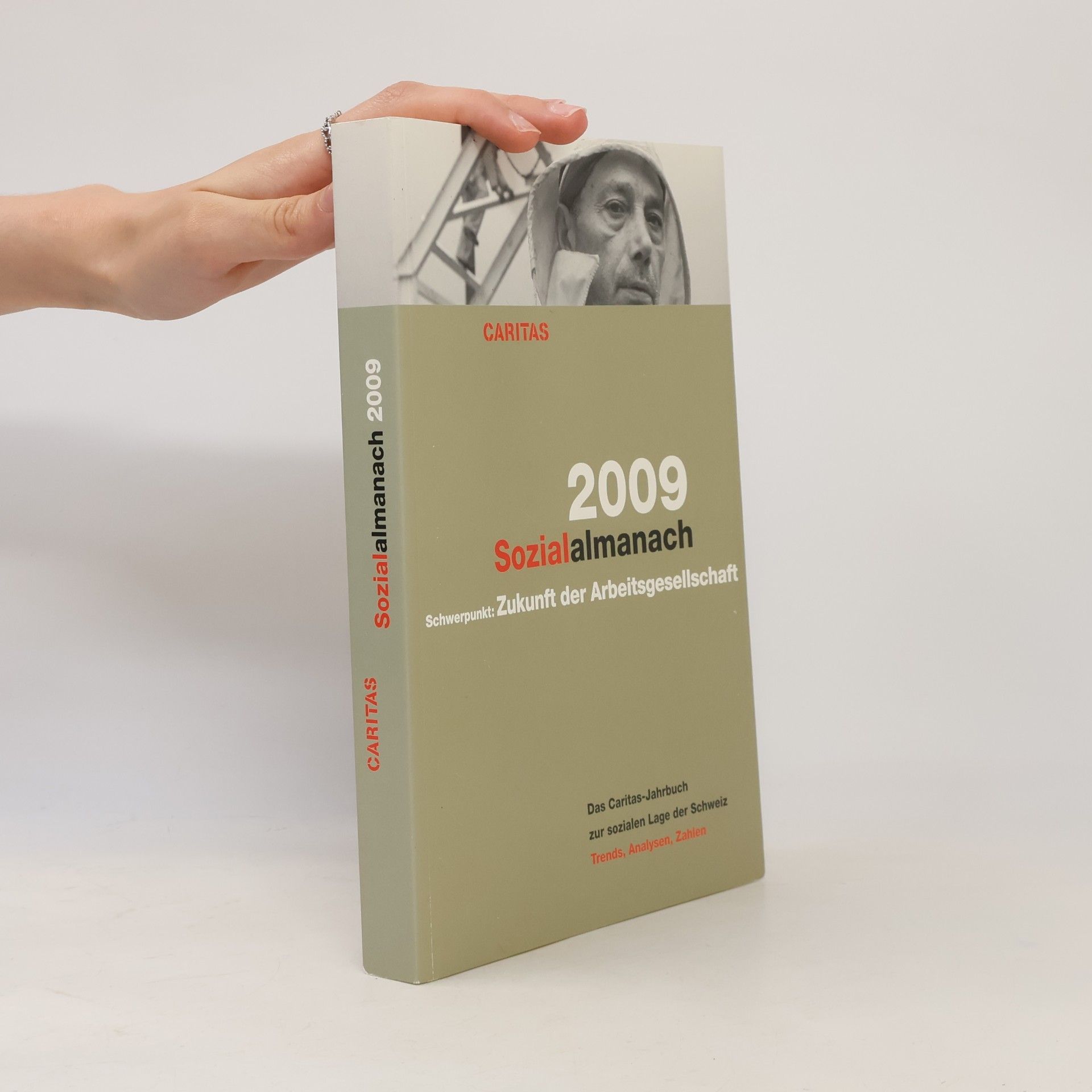 Sozialalmanach 2009. Das Caritas-Jahrbuch zur sozialen Lage der Schweiz: Schwerpunkt: Zukunft der Arbeitsgesellschaft