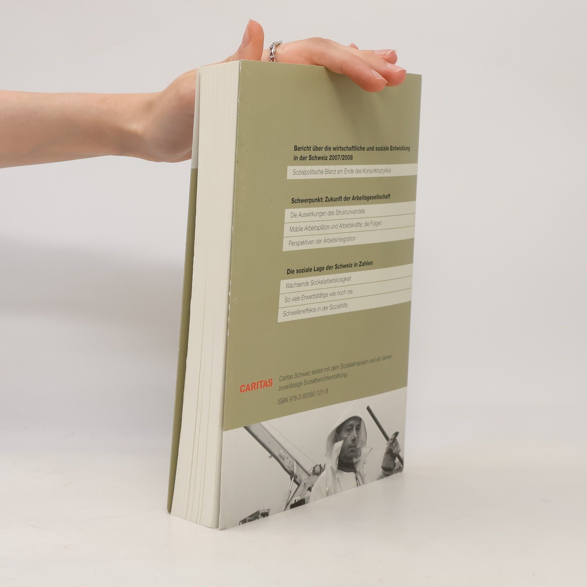 Carlo Knöpfel Sozialalmanach 2009. Das Caritas-Jahrbuch zur sozialen Lage der Schweiz: Schwerpunkt: Zukunft der Arbeitsgesellschaft