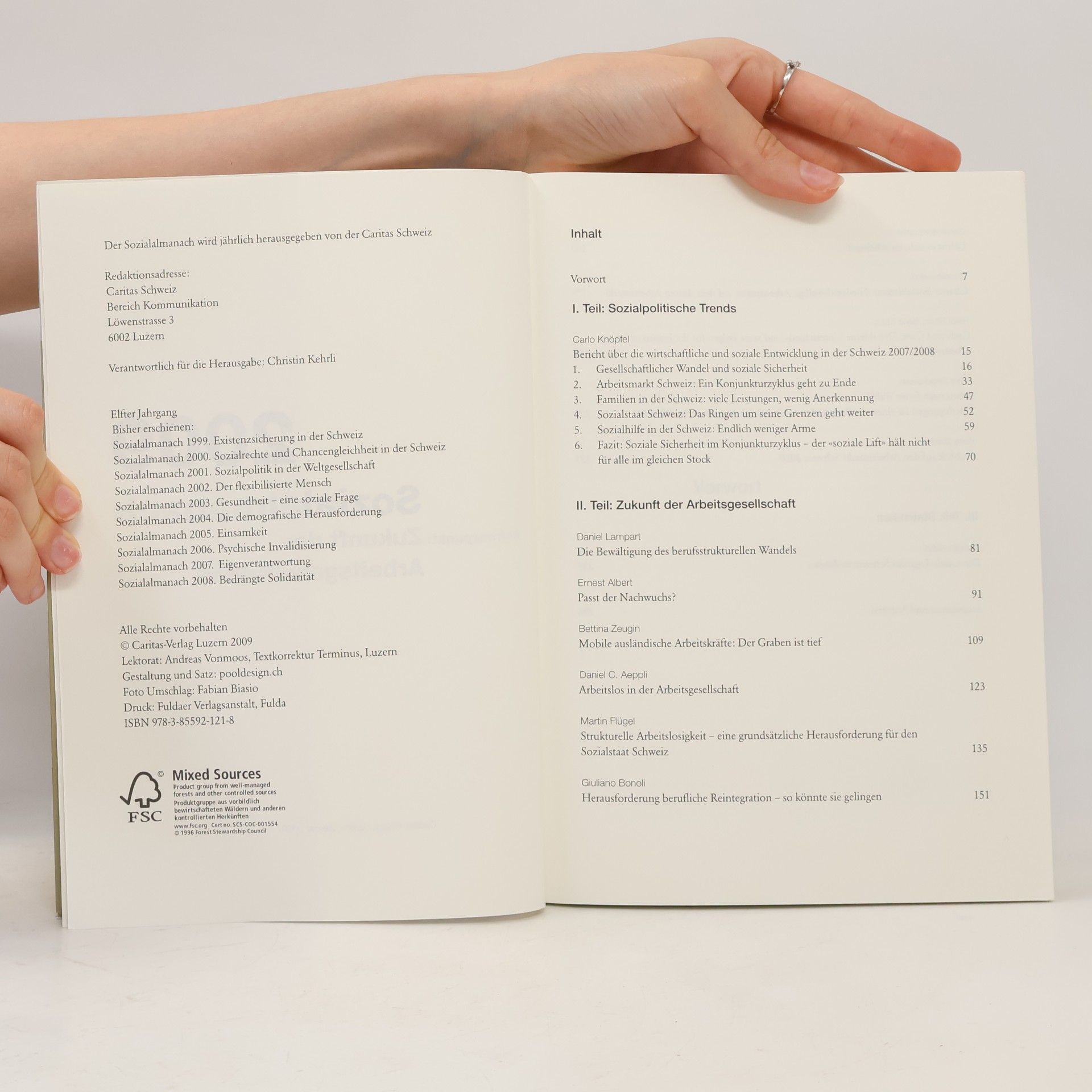 Carlo Knöpfel Sozialalmanach 2009. Das Caritas-Jahrbuch zur sozialen Lage der Schweiz: Schwerpunkt: Zukunft der Arbeitsgesellschaft