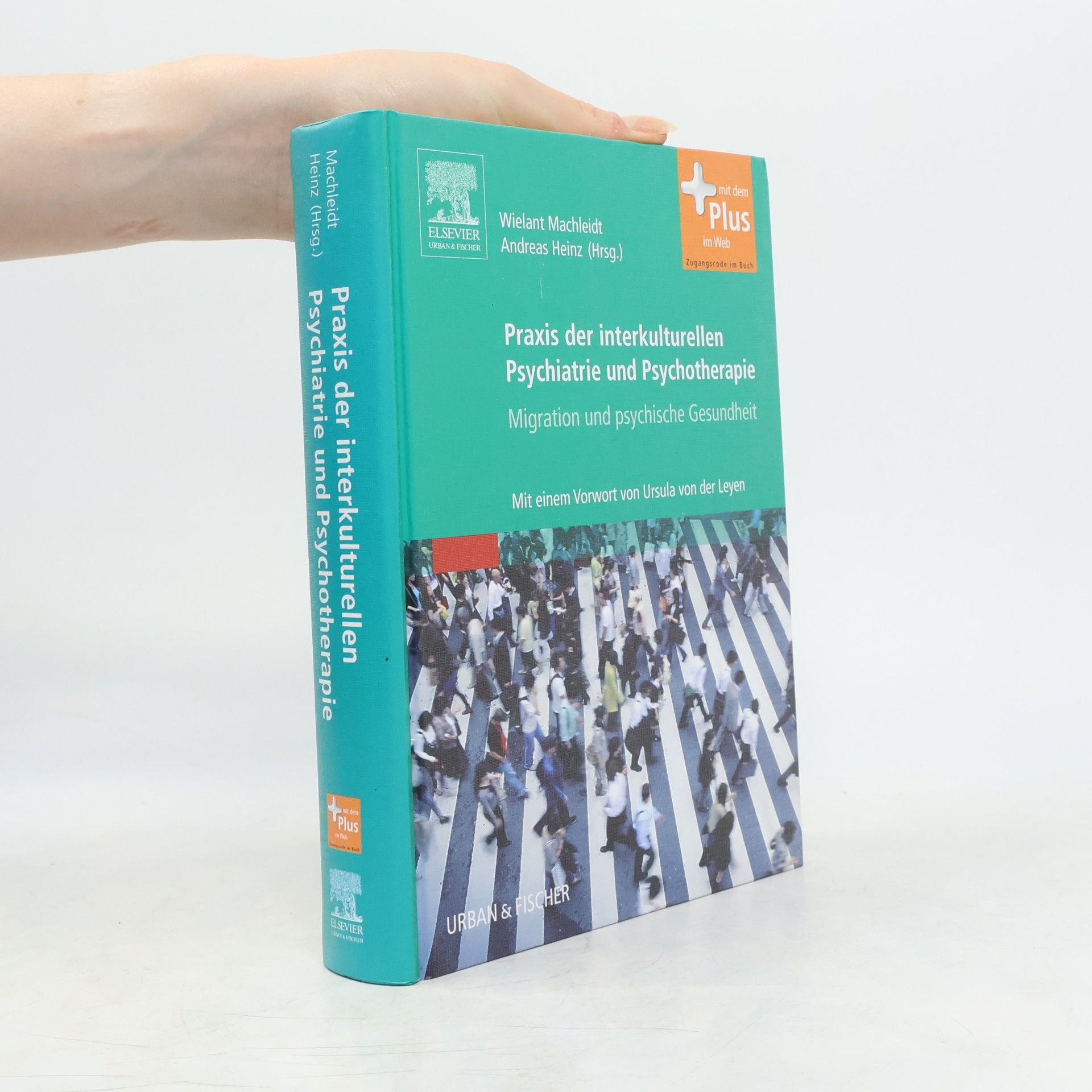 Praxis der interkulturellen Psychiatrie und Psychotherapie