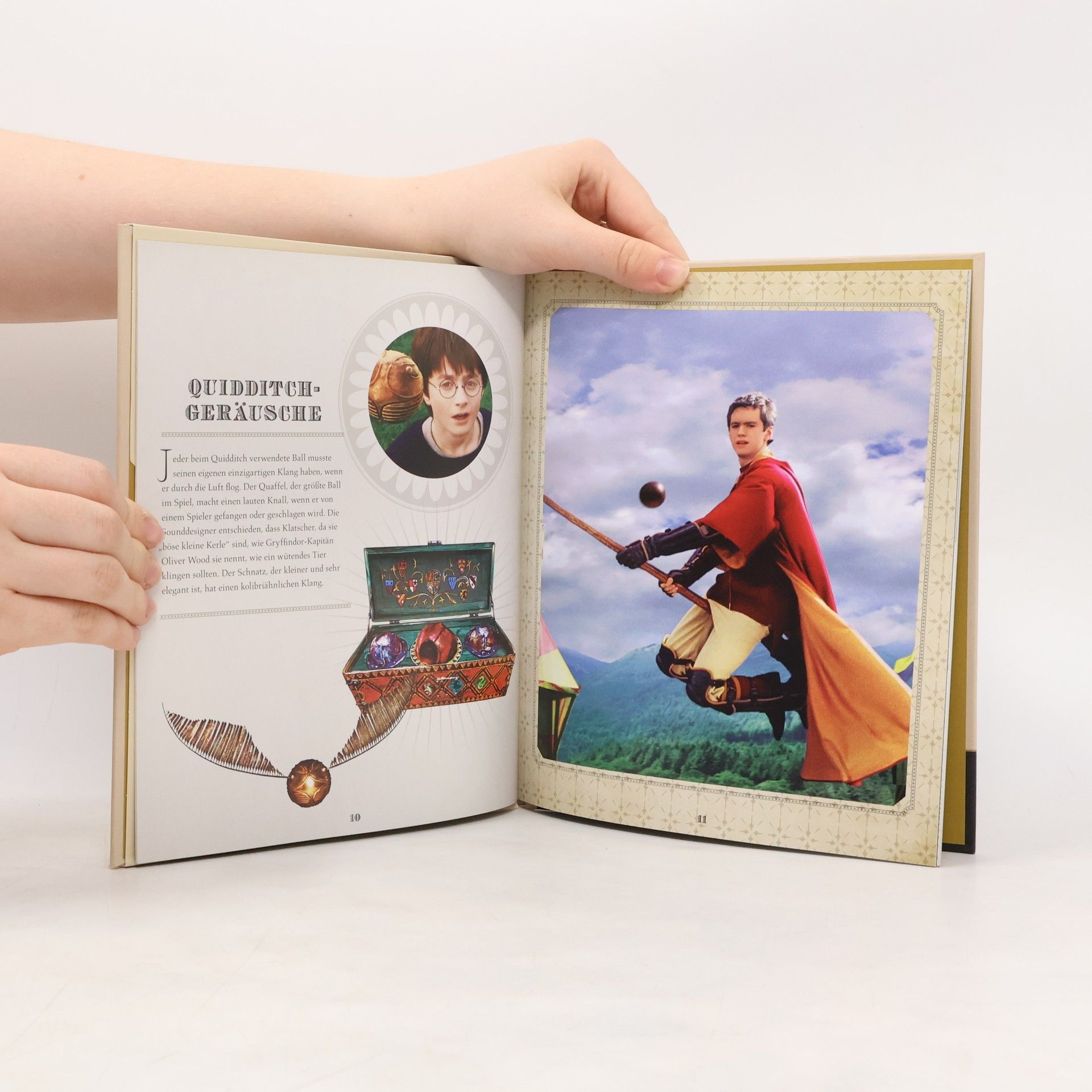 Warner Bros. Consumer Products Warner Bros. Consumer Products GmbH Harry Potter - Quidditch - Das offizielle Buch mit 3D-Puzzle Fan-Art