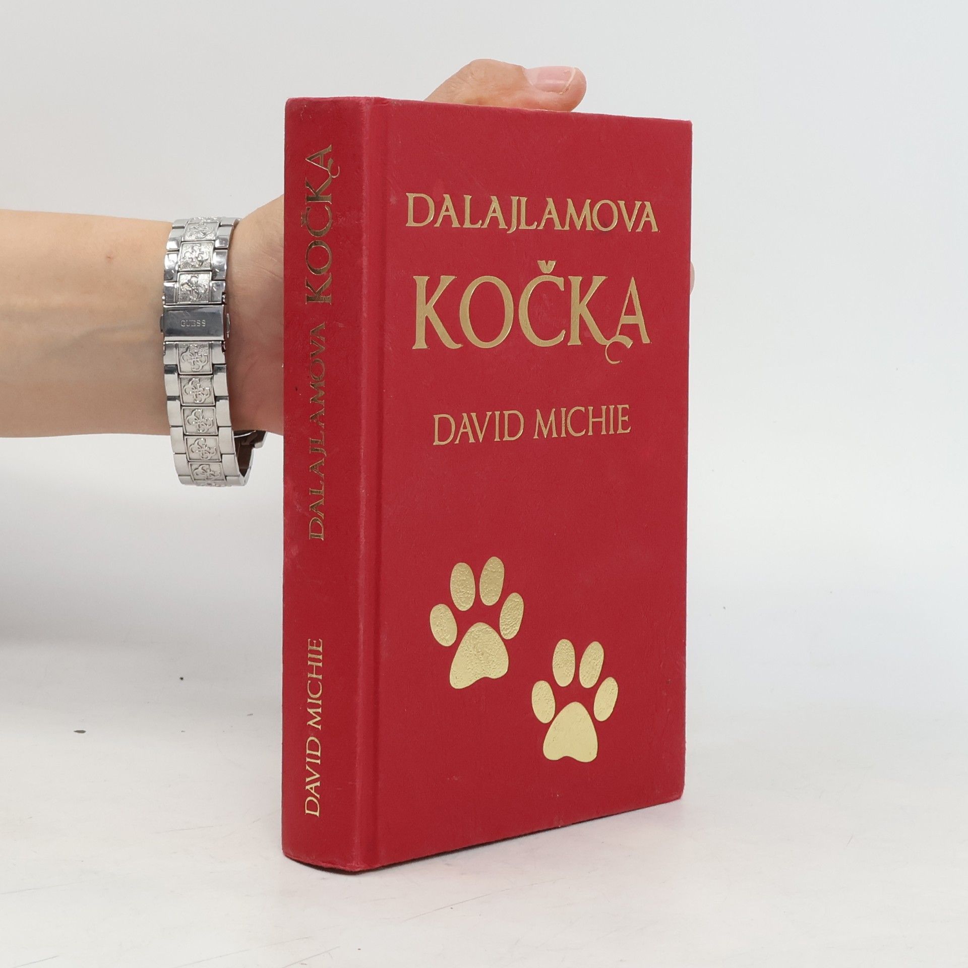 David Michie Dalajlamova kočka