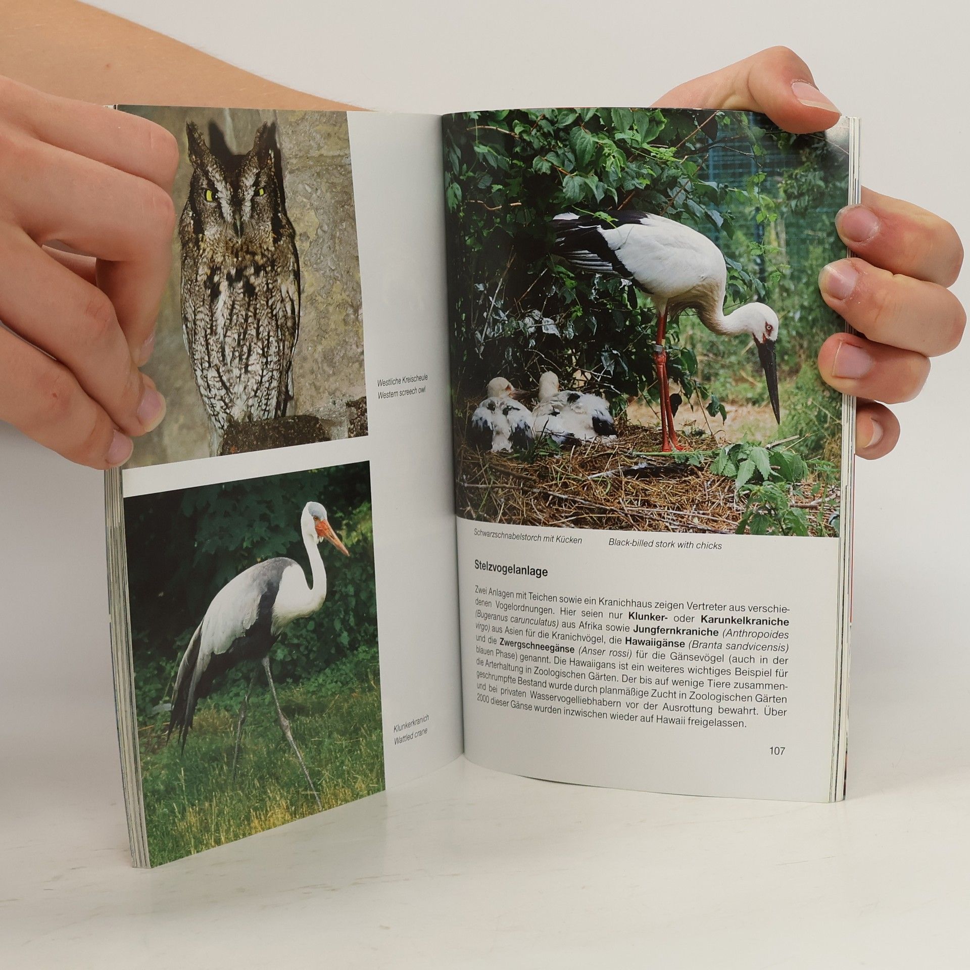 Autorenkollektiv Tierpark Berlin