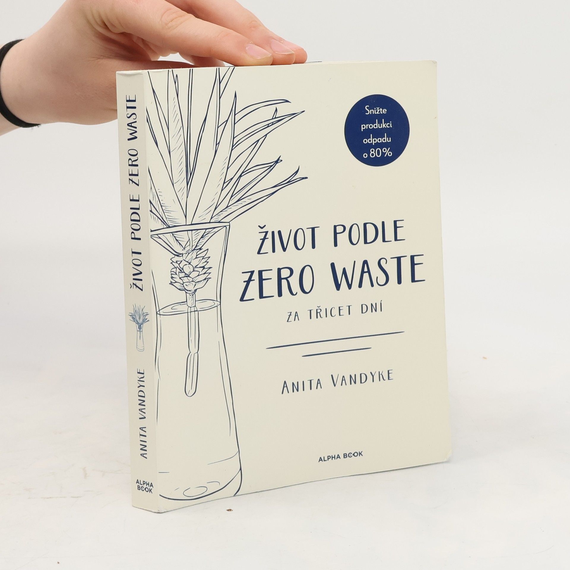 Anita Vandyke Život podle zero waste za třicet dní