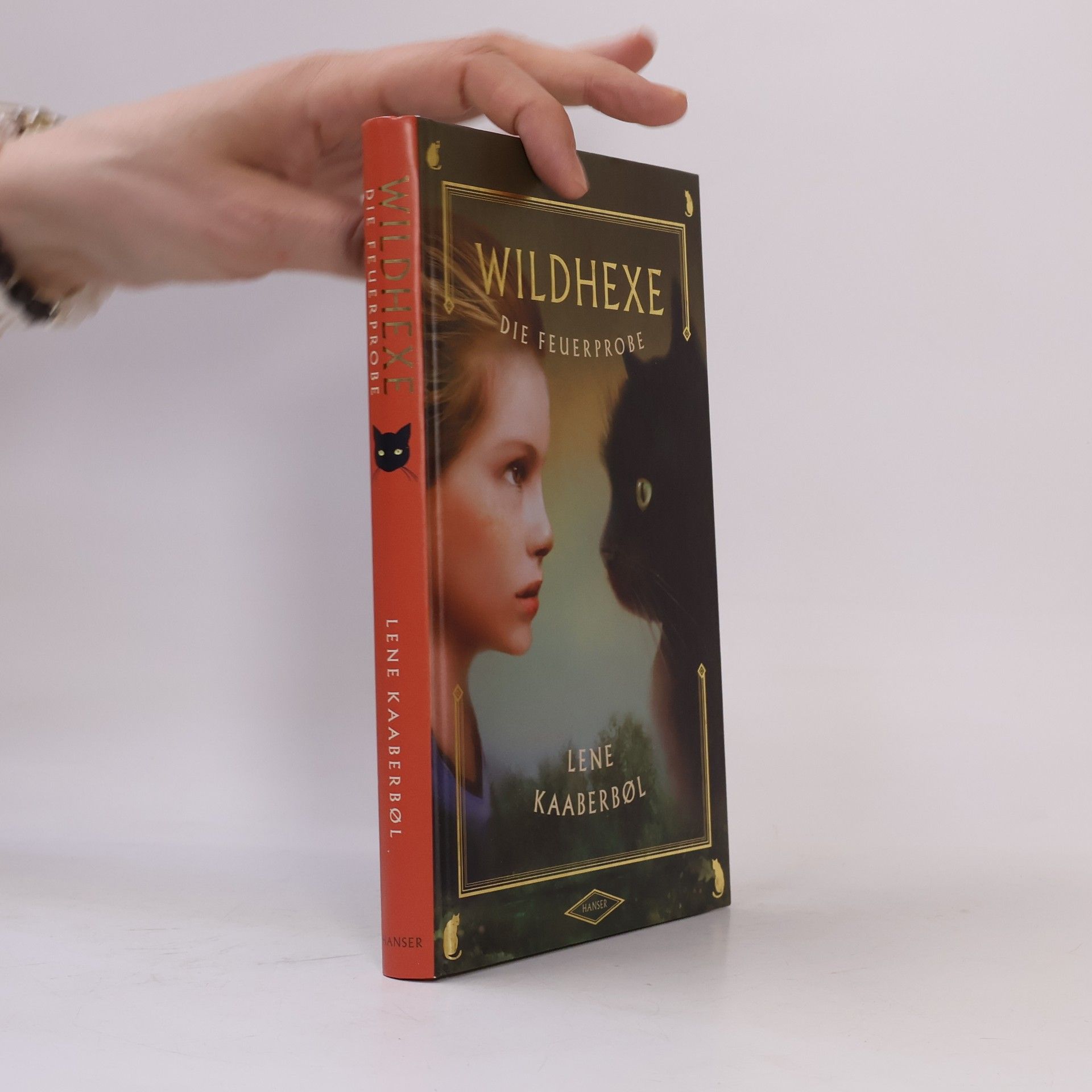Lene Kaaberbol Wildhexe die Feuerprobe