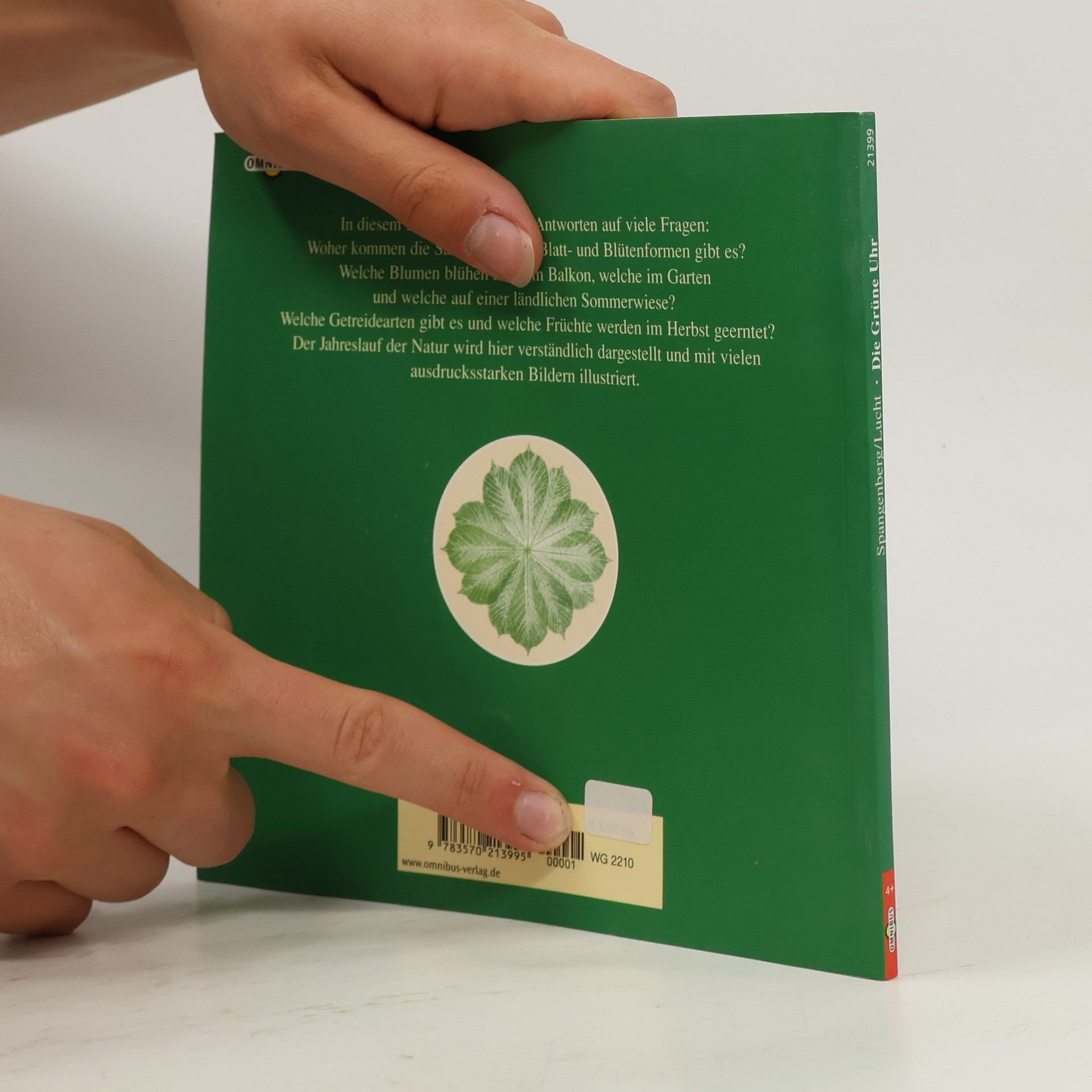 Christa Spangenberg Die grüne Uhr