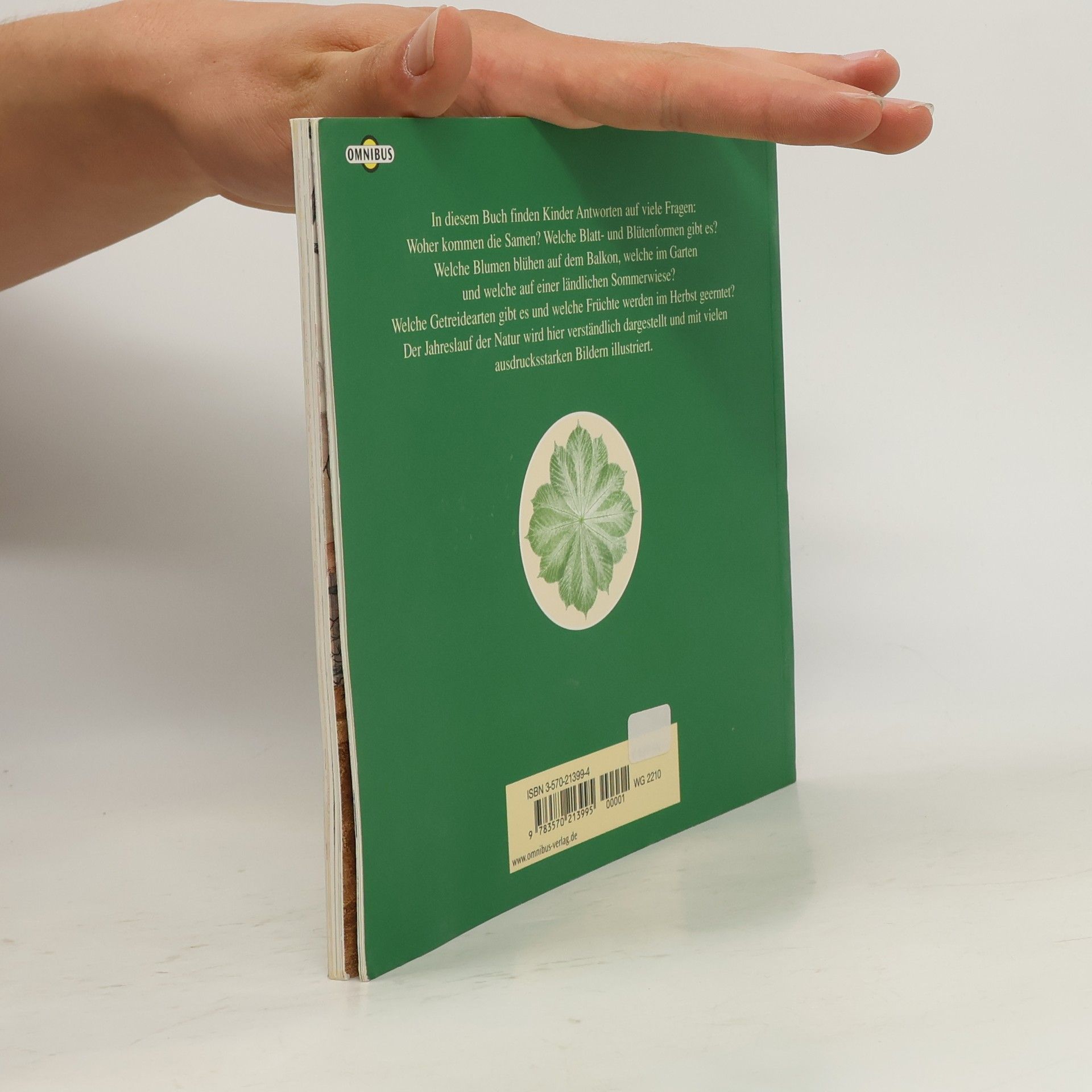 Christa Spangenberg Die grüne Uhr