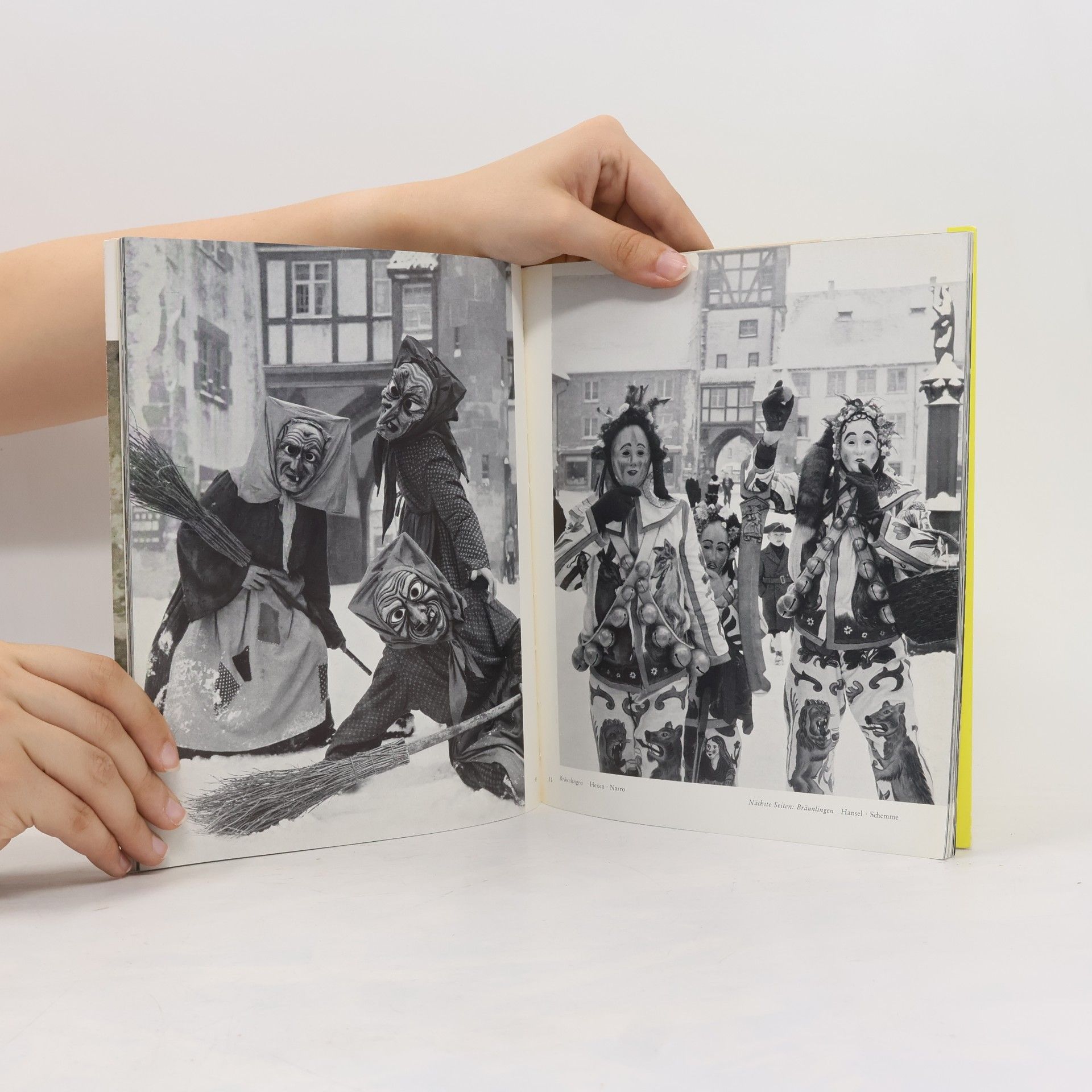 Autores varios Narro und Hänsele