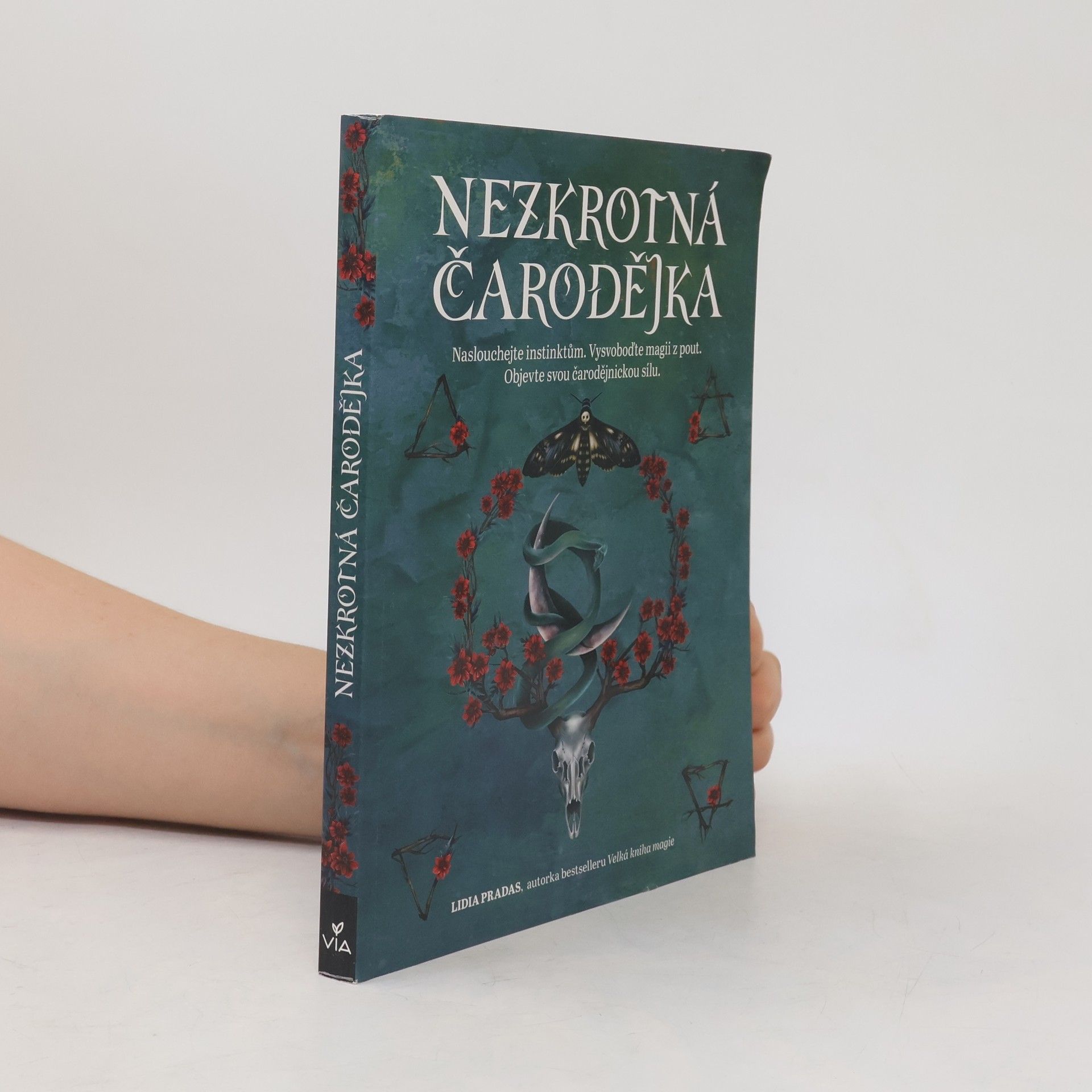 Lidia Pradas Nezkrotná čarodějka : Naslouchejte instinktům. Vysvoboďte magii z pout. Objevte svou čarodějnickou sílu.