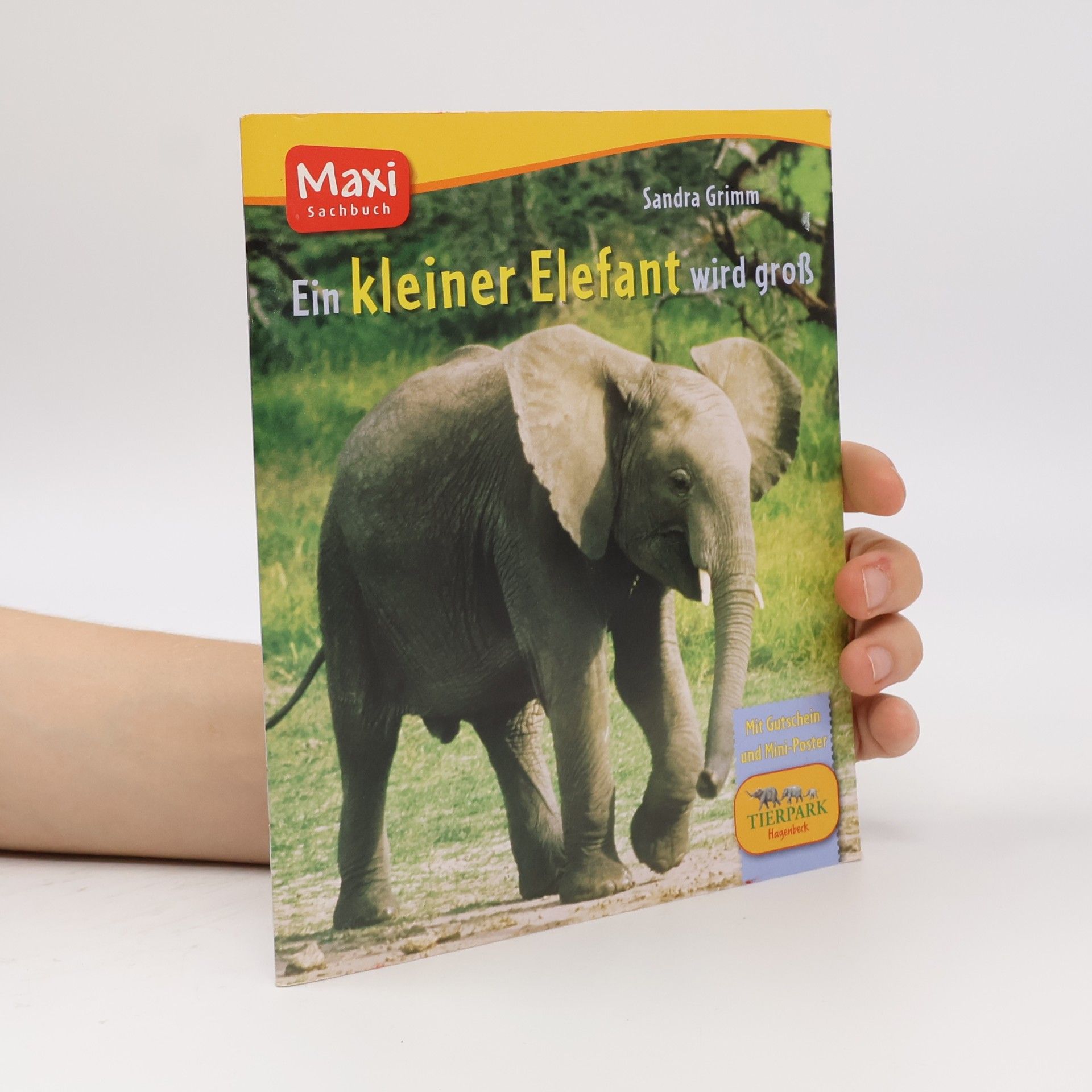 Sandra Grimm Ein kleiner Elefant wird groß