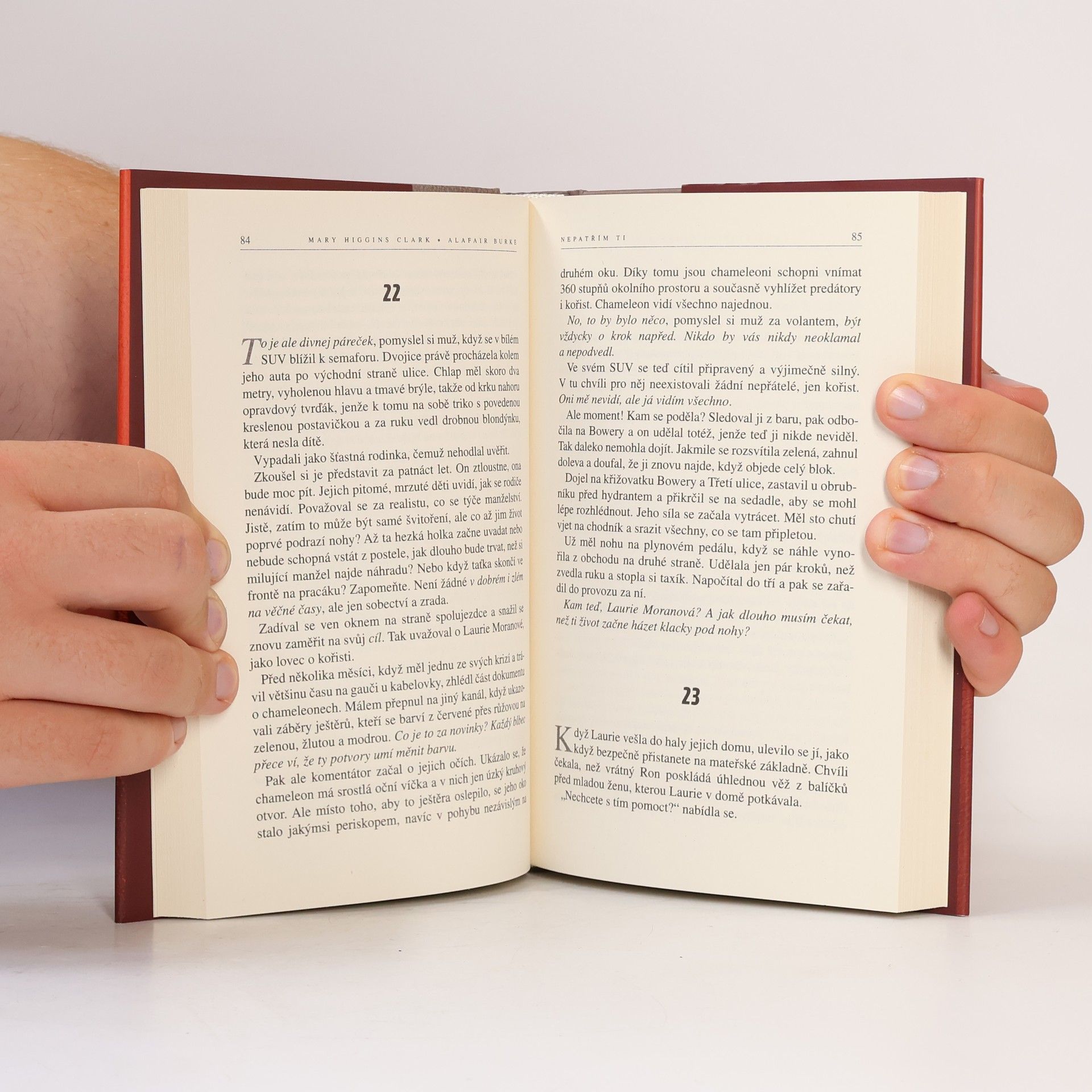 Mary Higgins Clark Nepatřím ti