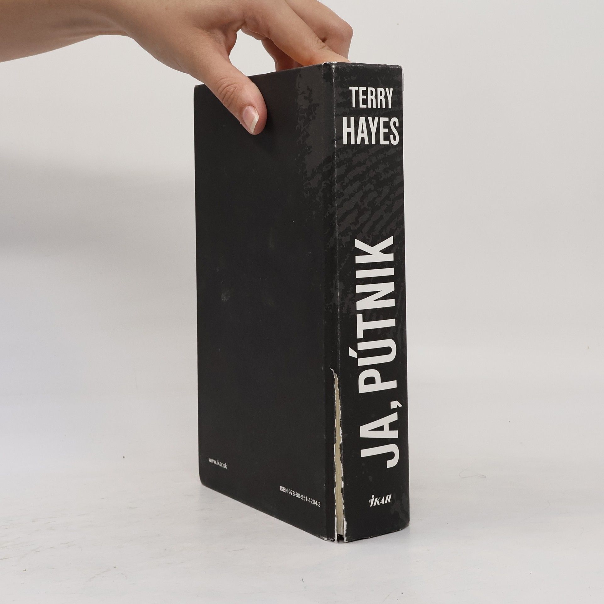 Terry Hayes Ja, Pútnik
