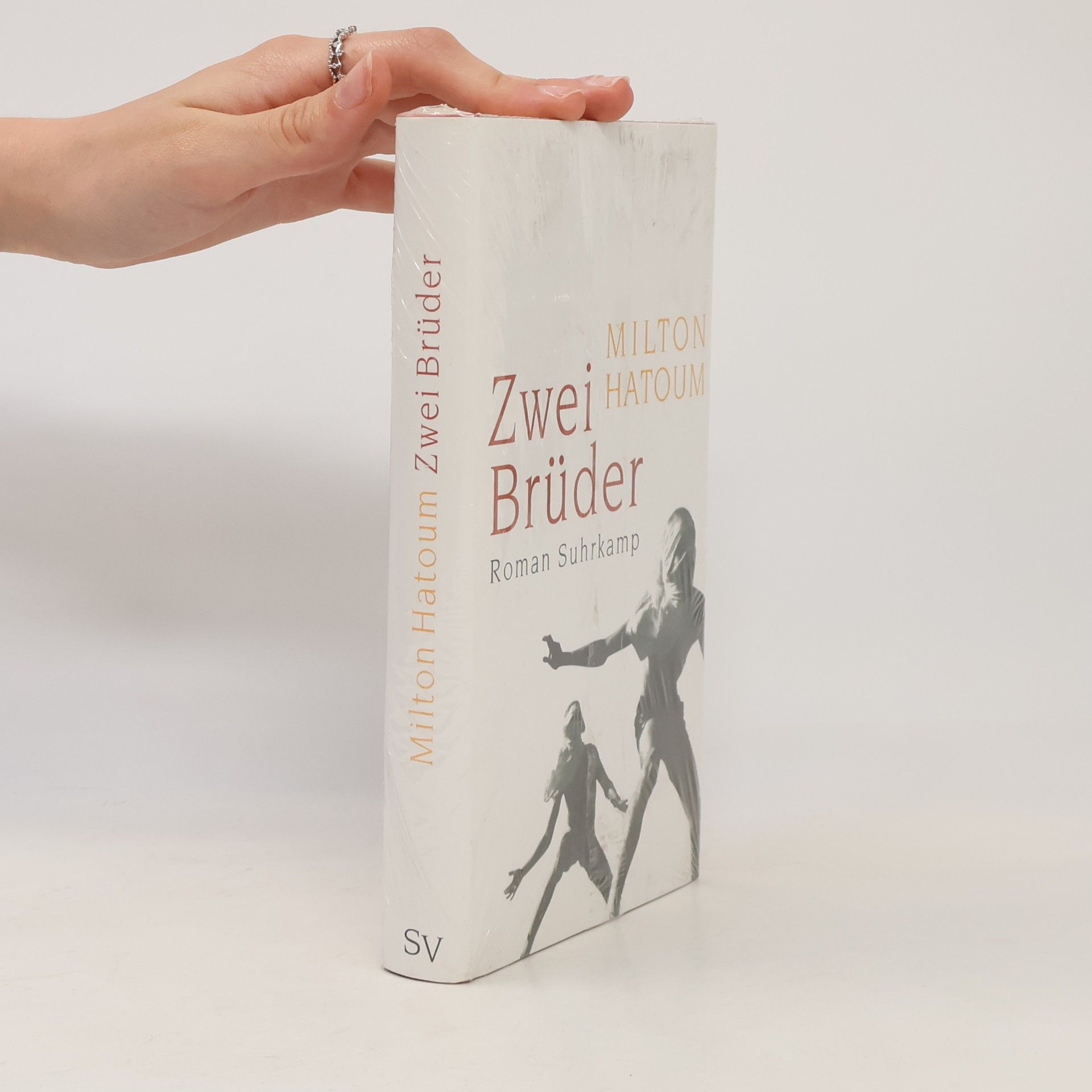 Milton Hatoum Zwei Brüder