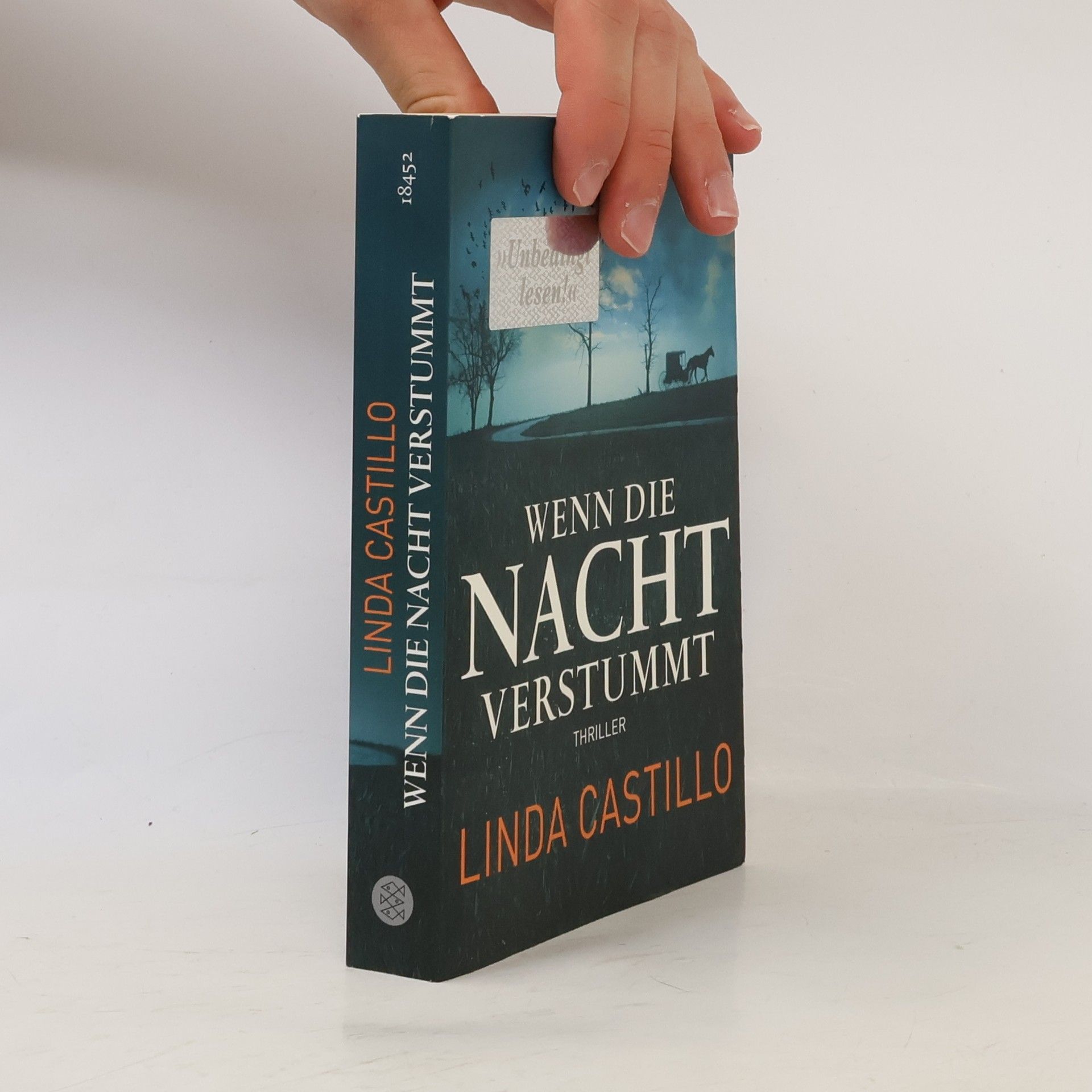 Linda Castillo Wenn die Nacht verstummt
