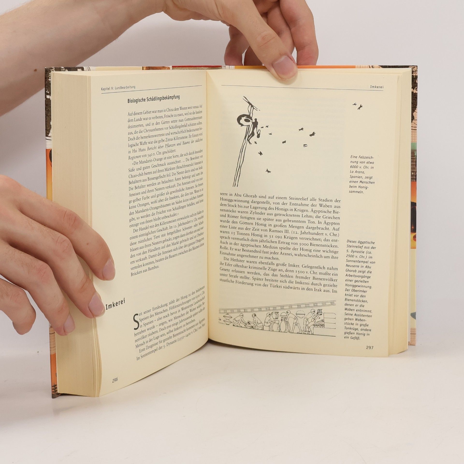 Peter James Keilschrift, Kompaß, Kaugummi