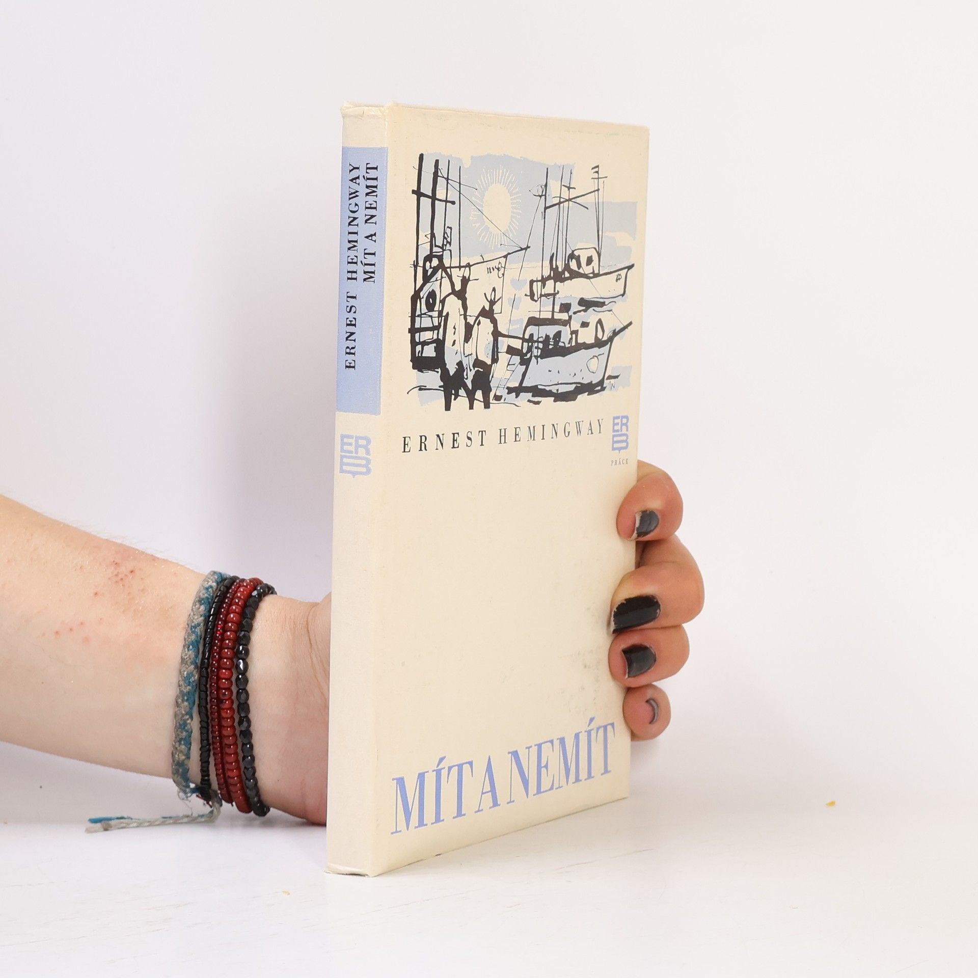 Ernest Hemingway Mít a nemít
