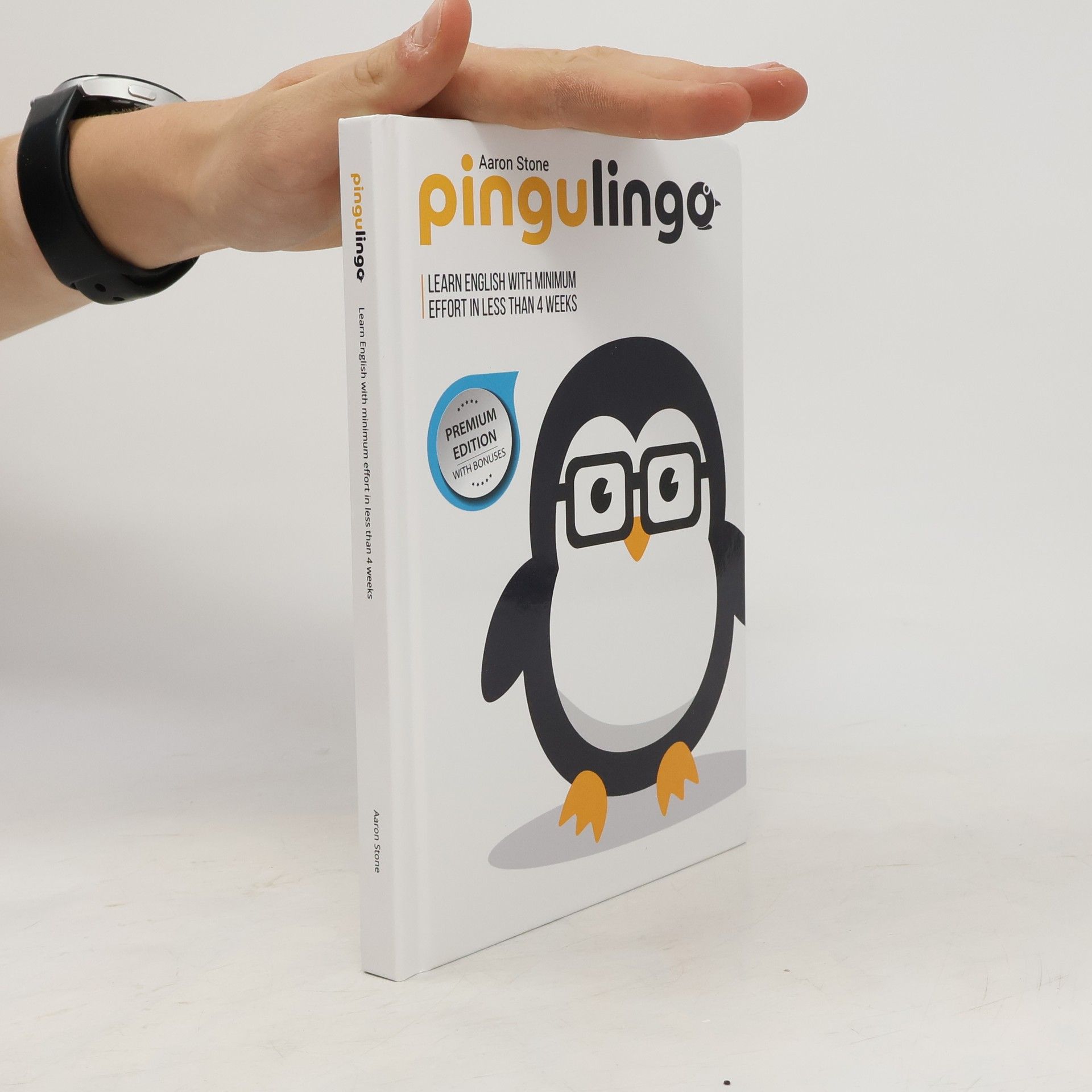 Aaron Stone Pingulingo: Learn english with minimum effort in less than 4 weeks