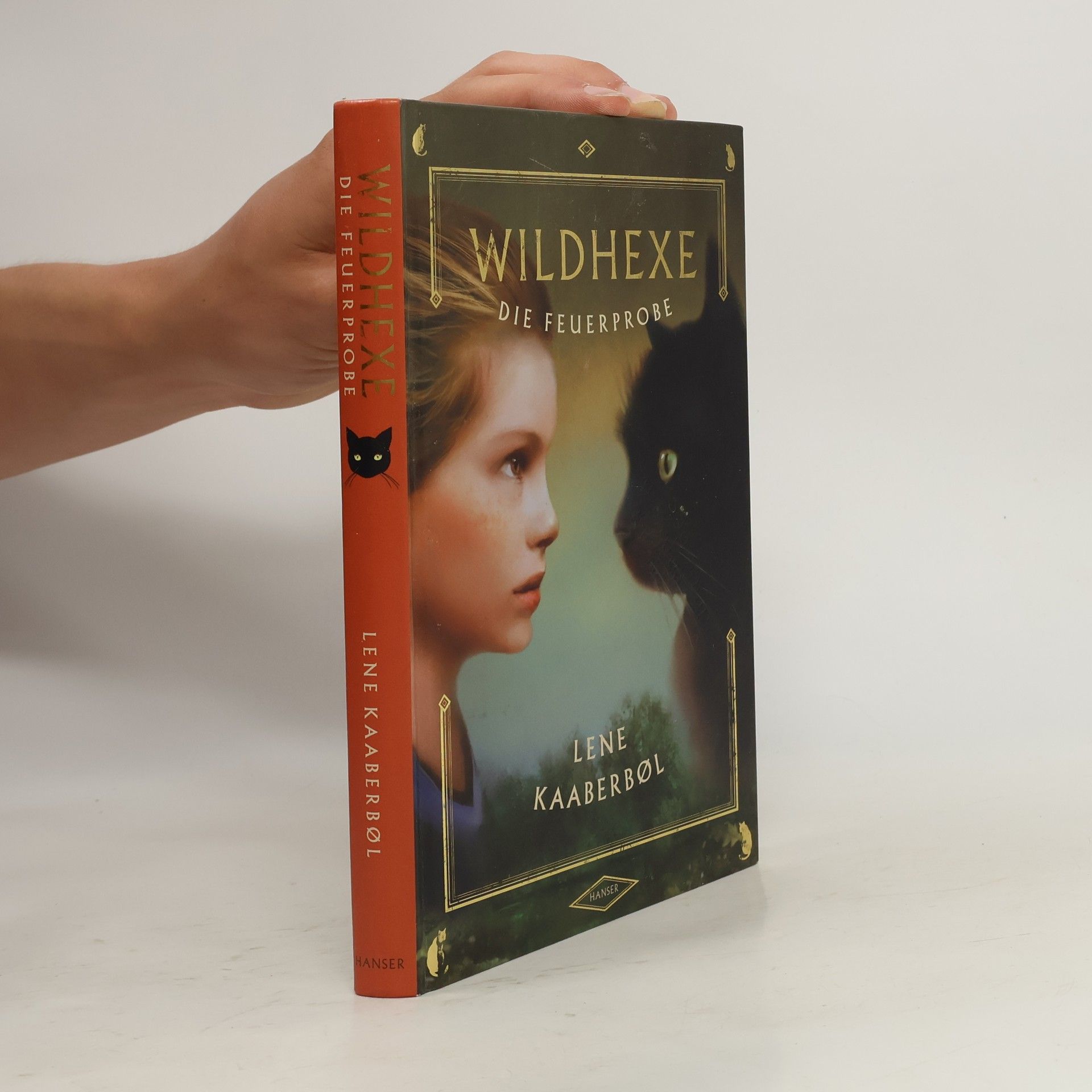 Lene Kaaberbøl Wildhexe die Feuerprobe