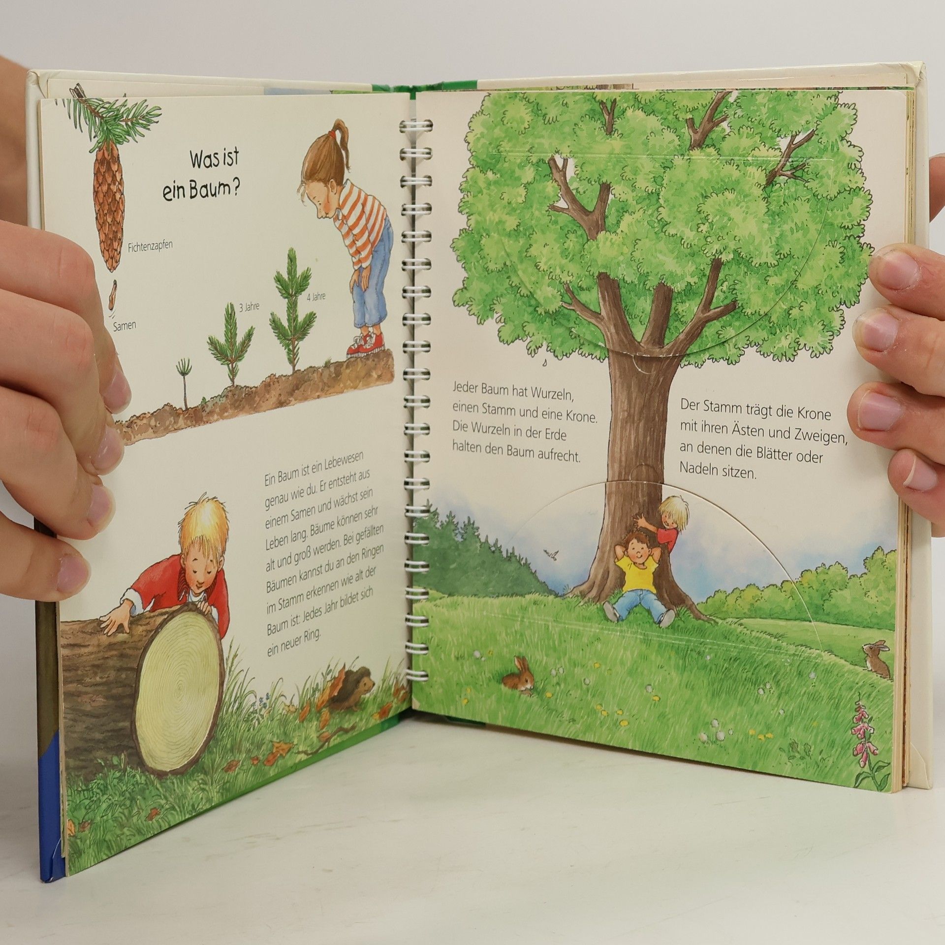 Autorenkollektiv Der Wald
