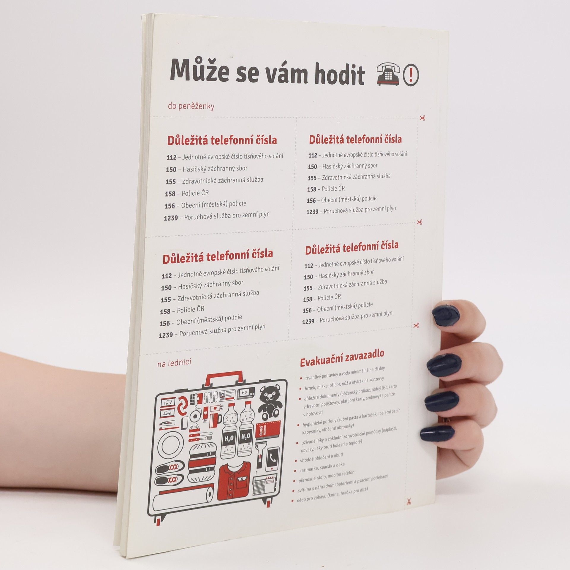 Kolektiv autorů Nepropadejte panice