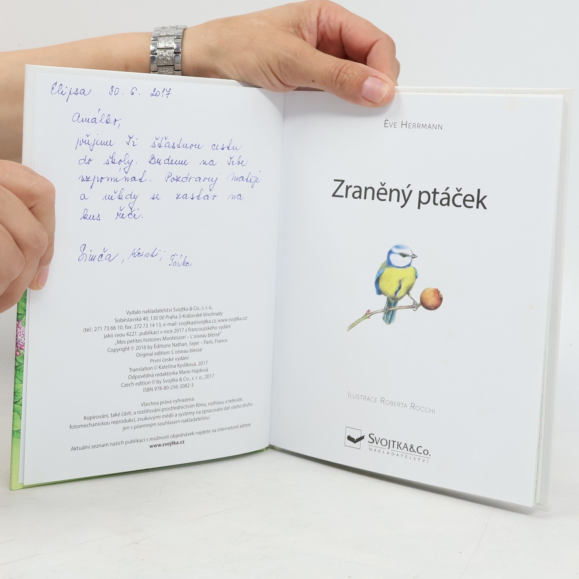 Ève Herrmann Moje malé příběhy Montessori: Zraněný ptáček