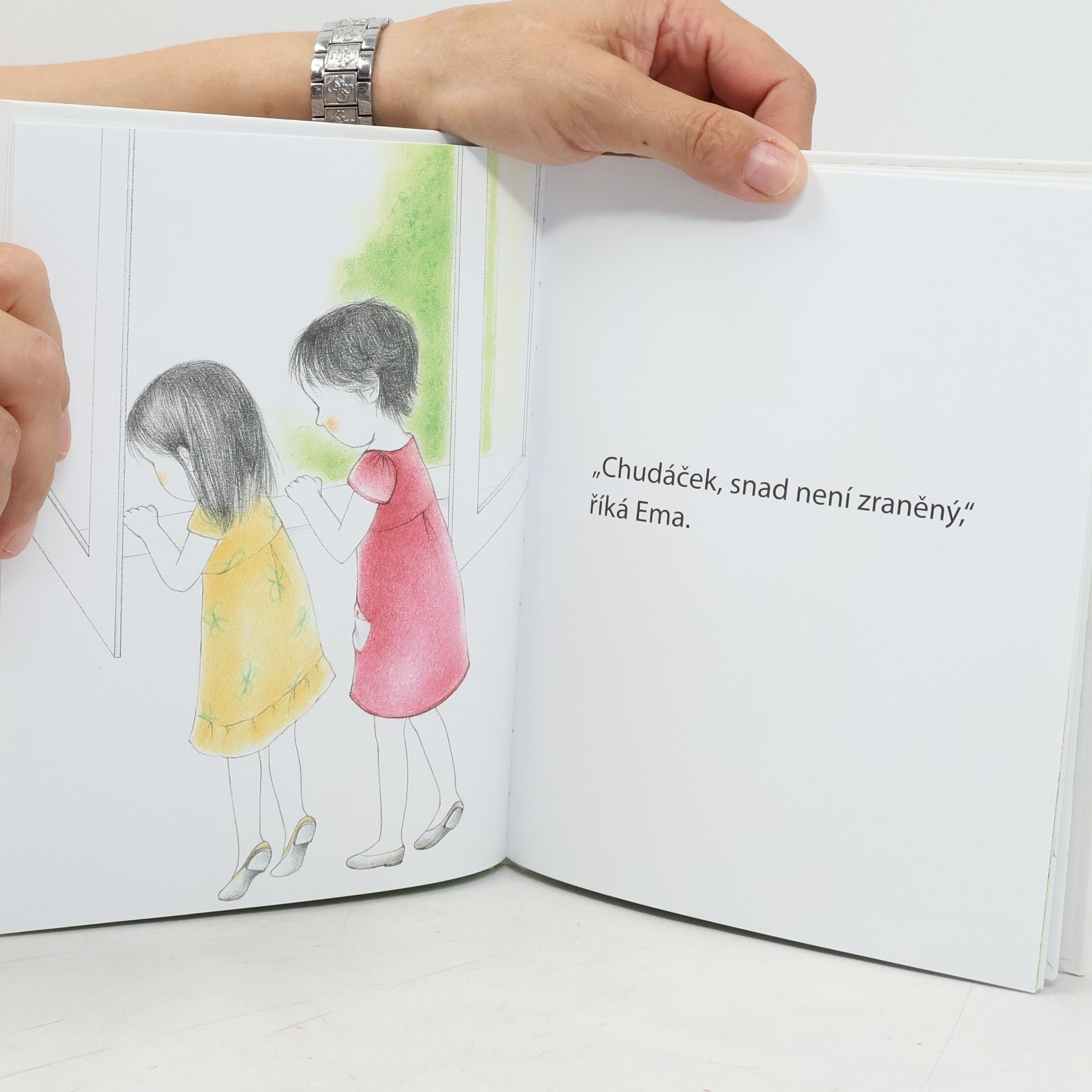 Ève Herrmann Moje malé příběhy Montessori: Zraněný ptáček