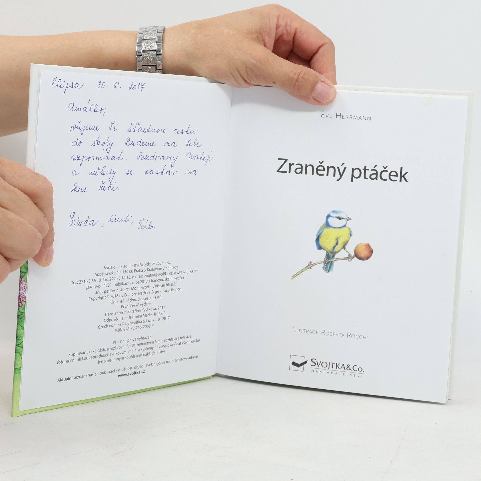 Ève Herrmann Moje malé příběhy Montessori: Zraněný ptáček