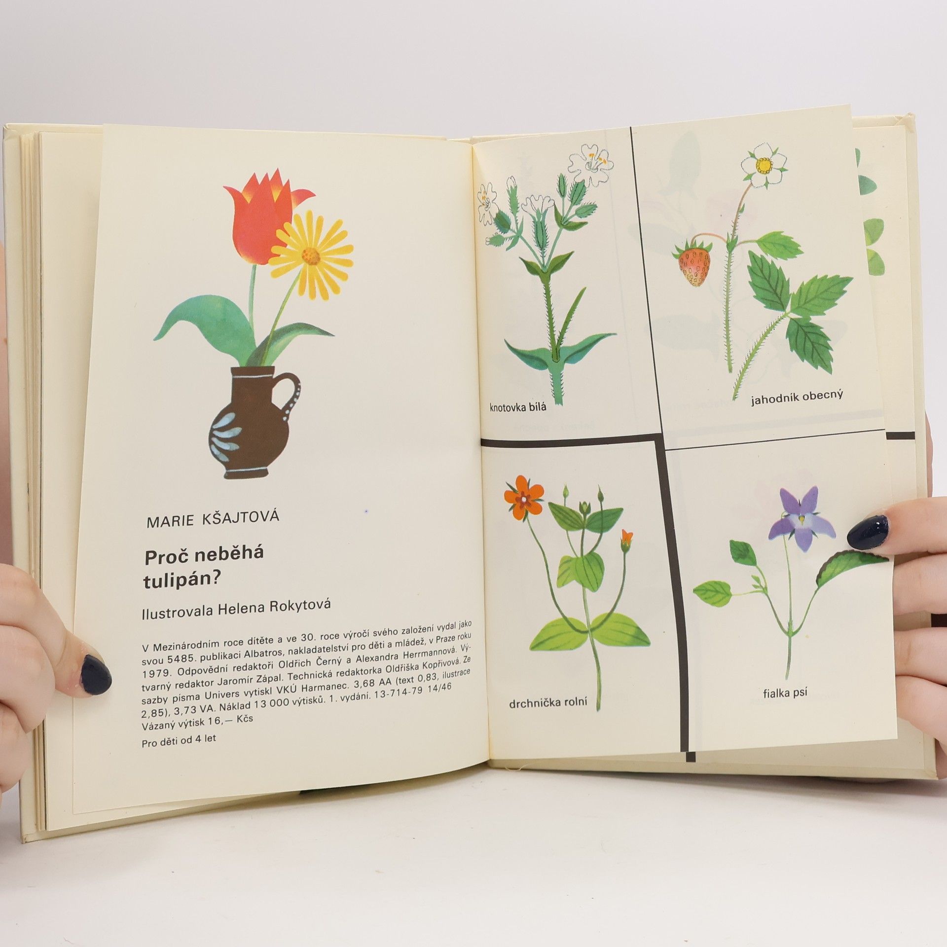 Marie Kšajtová Proč neběhá tulipán?