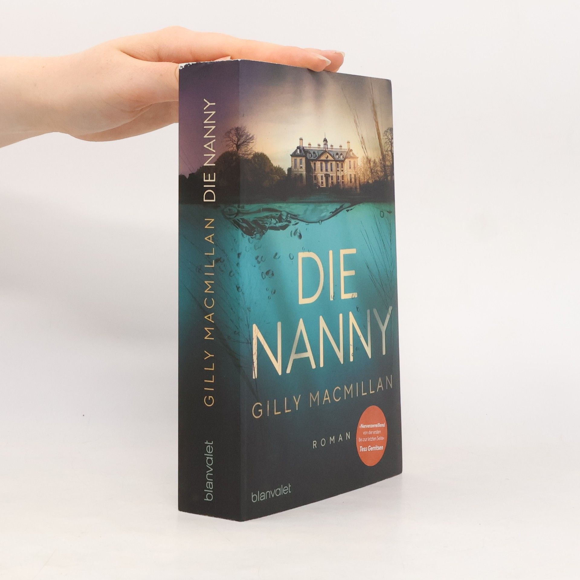 Gilly Macmillan Die Nanny