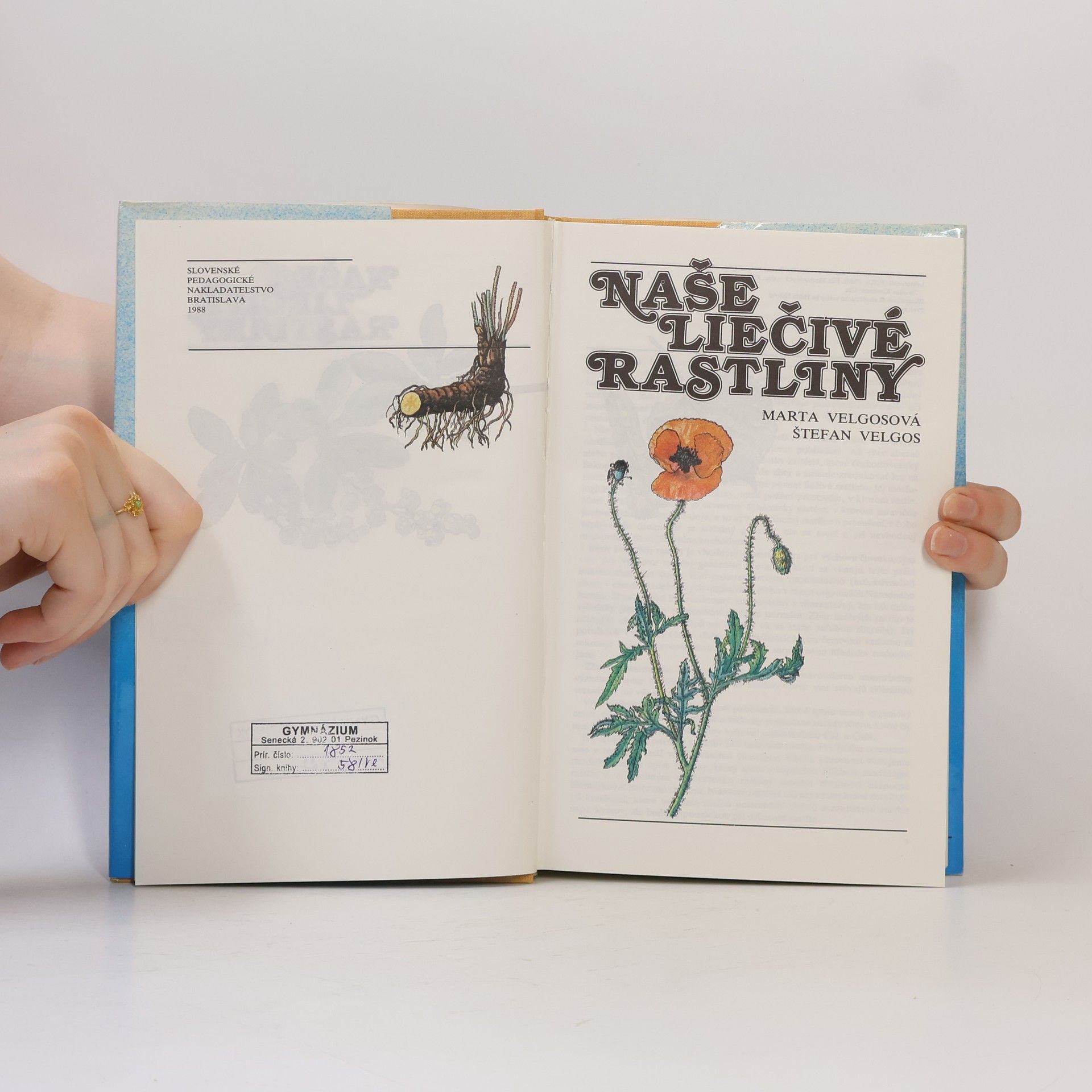 Marta Velgosová Naše liečivé rastliny