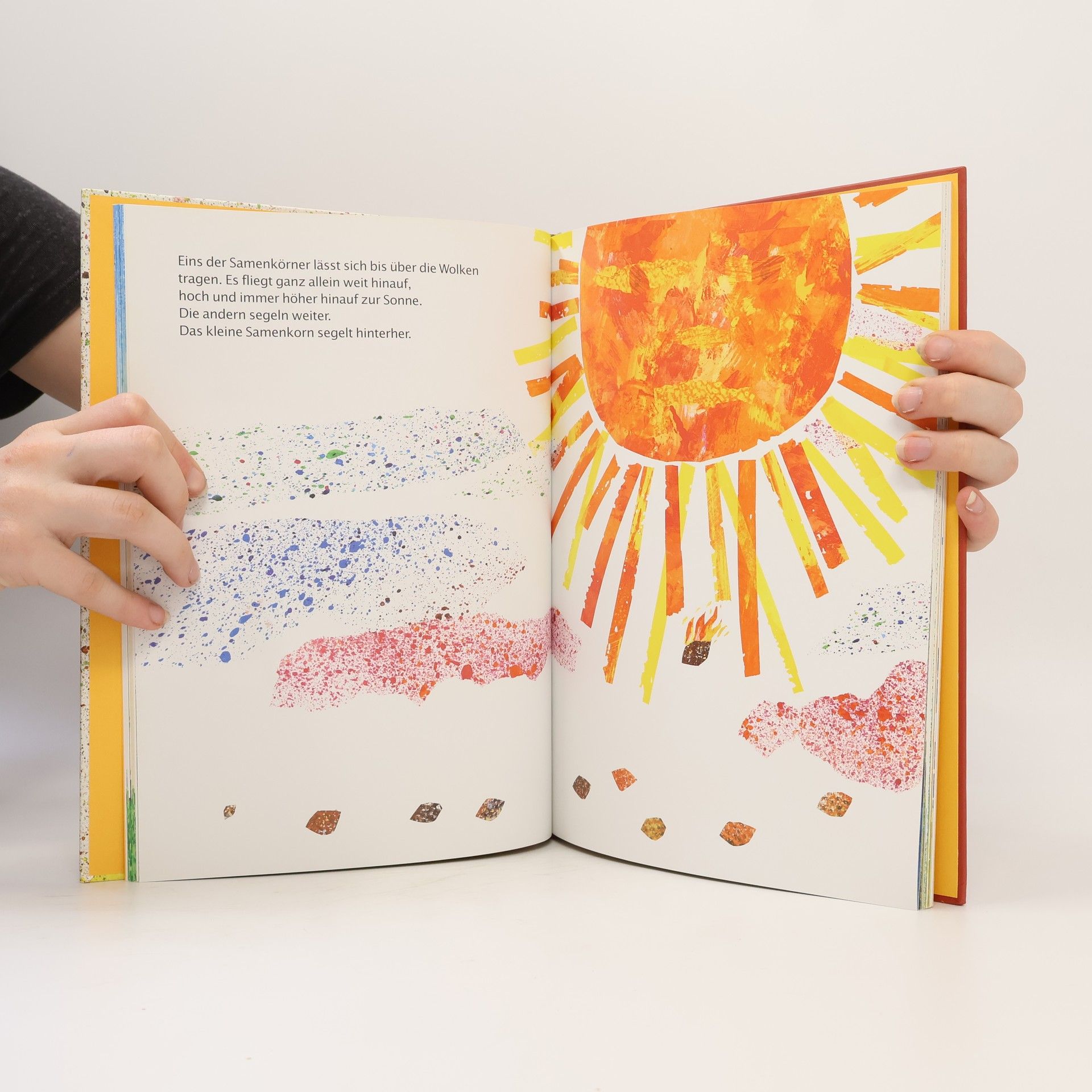 Eric Carle Bilder-Buch-Schatz