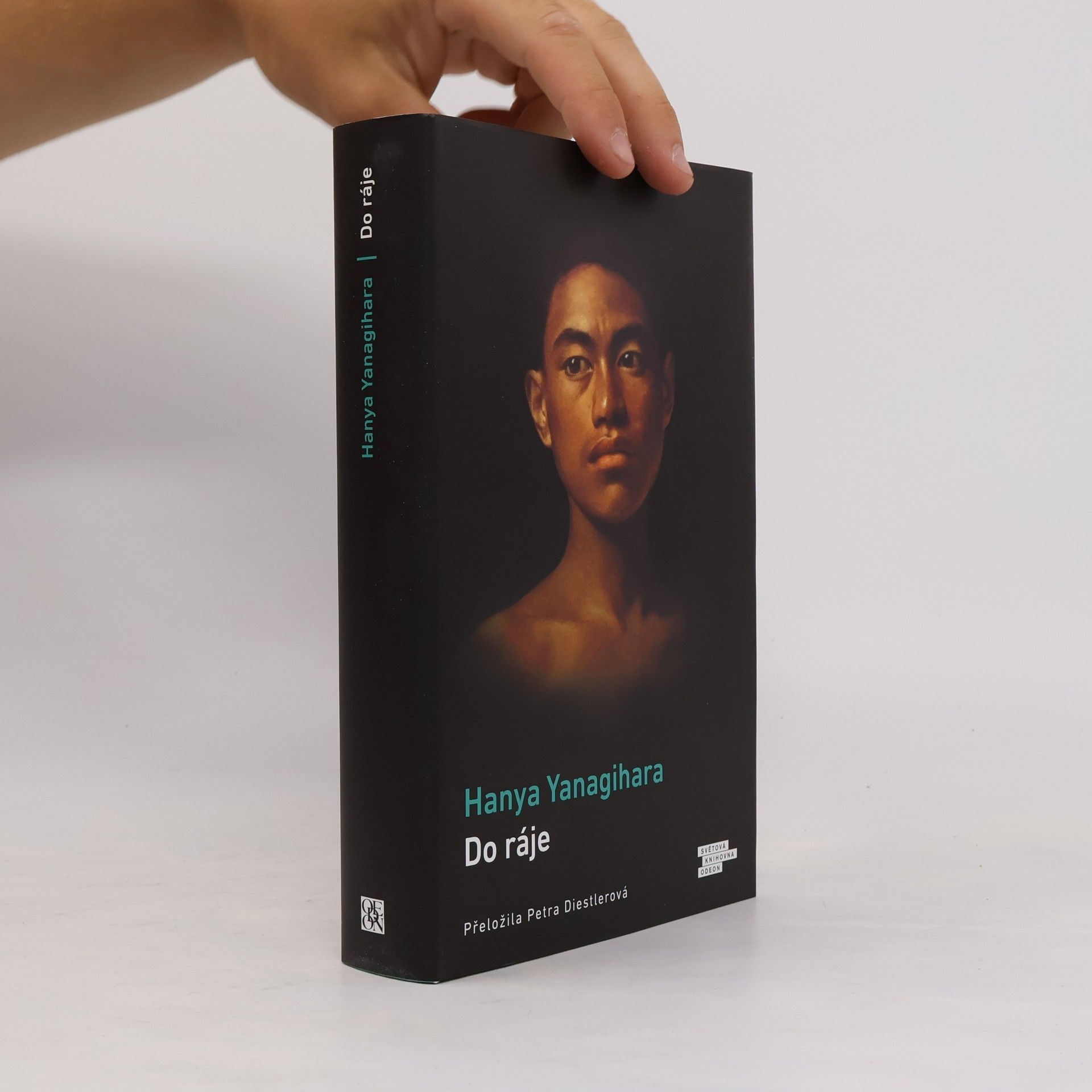 Hanya Yanagihara Do ráje