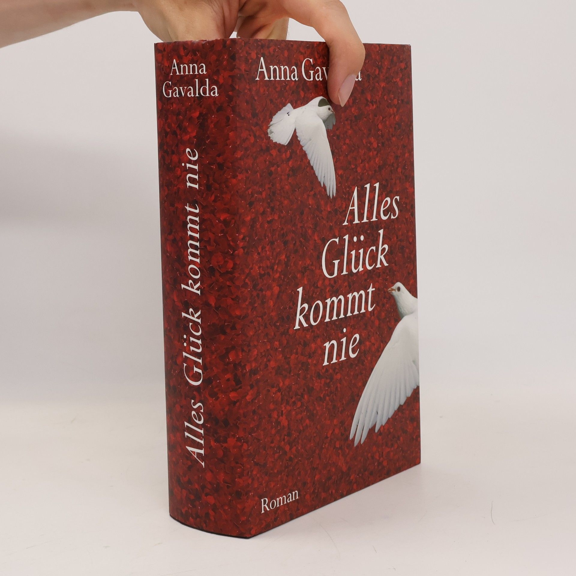 Anna Gavalda Alles Glück kommt nie
