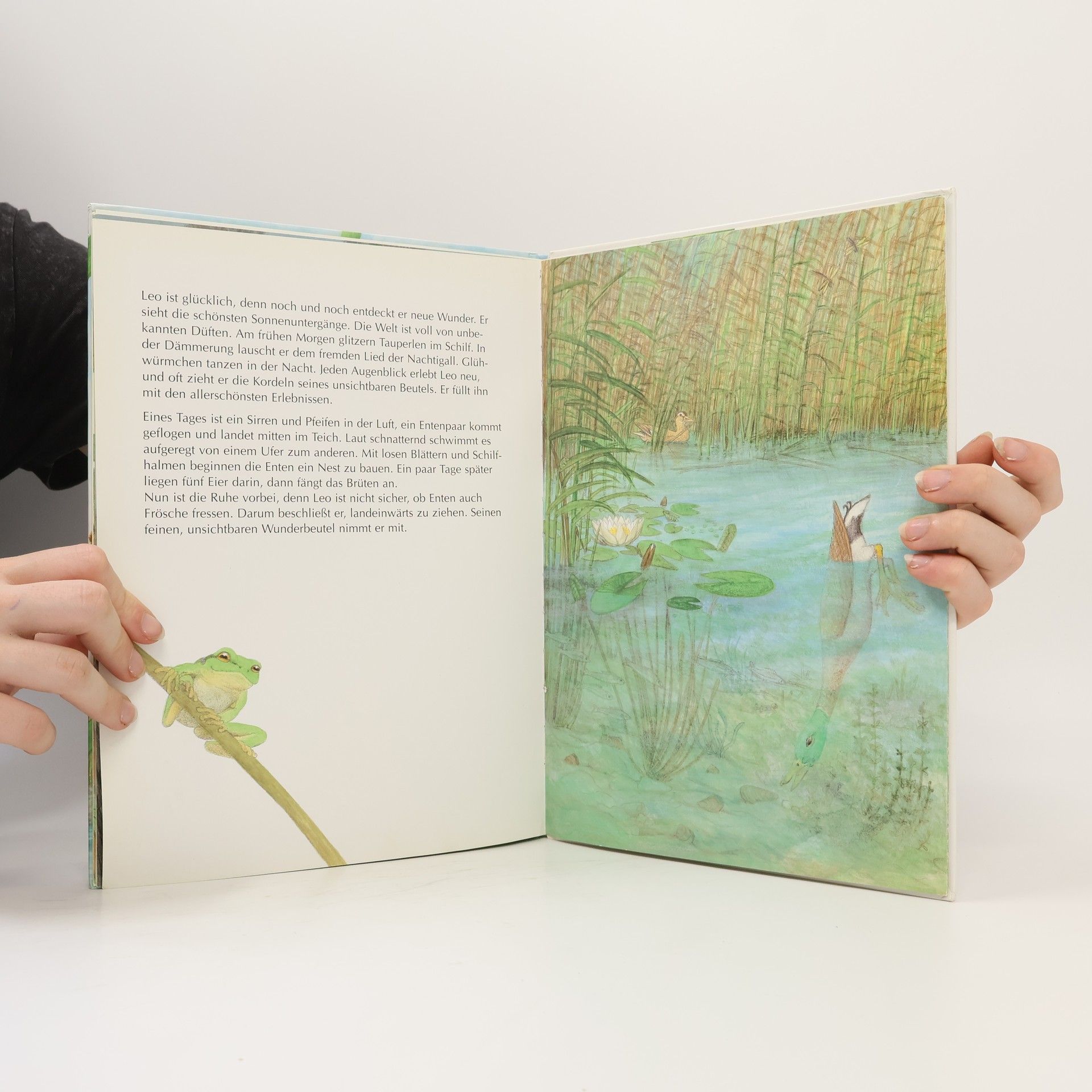 Eleonore Schmid Der Laubfrosch und seine Schätze