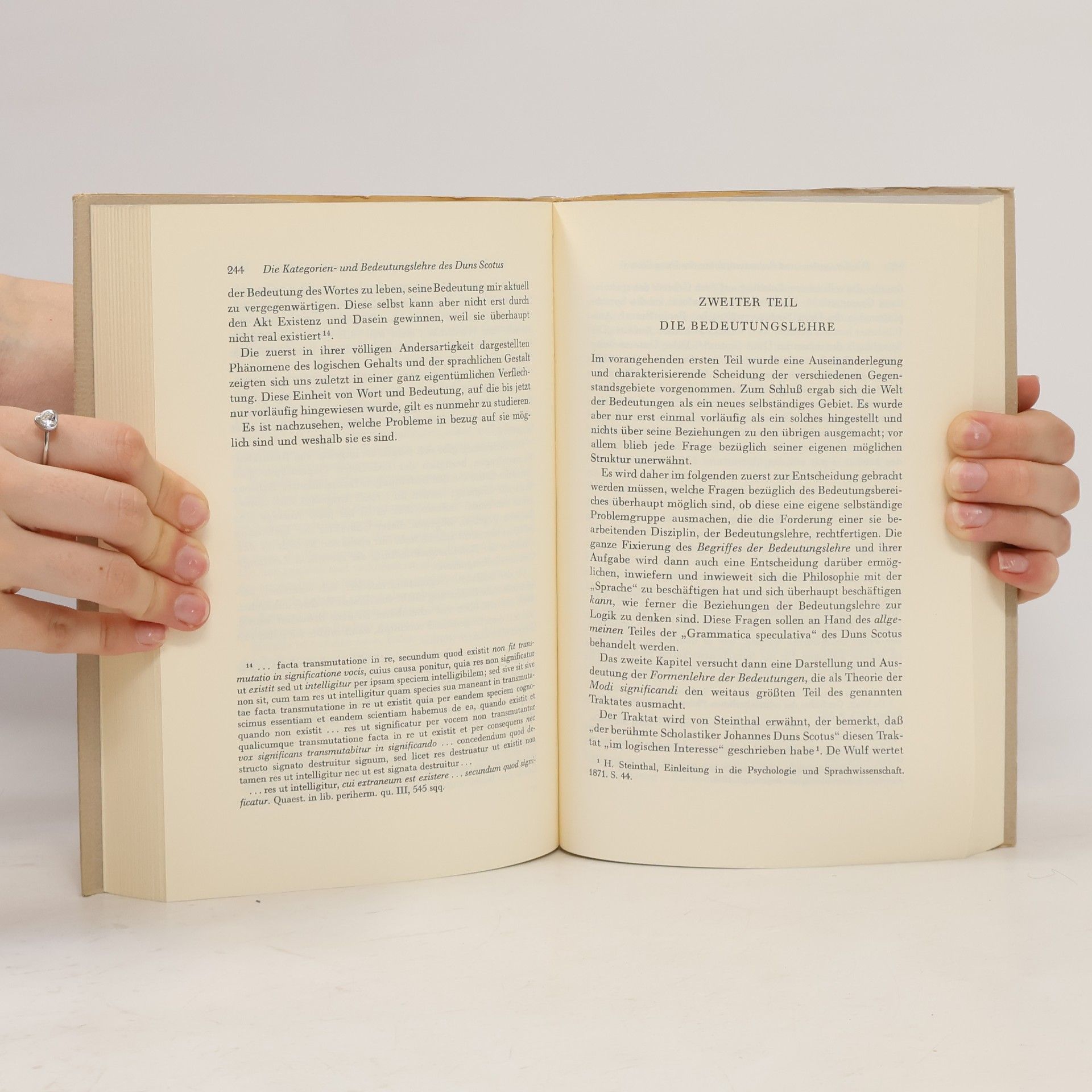 Martin Heidegger Frühe Schriften