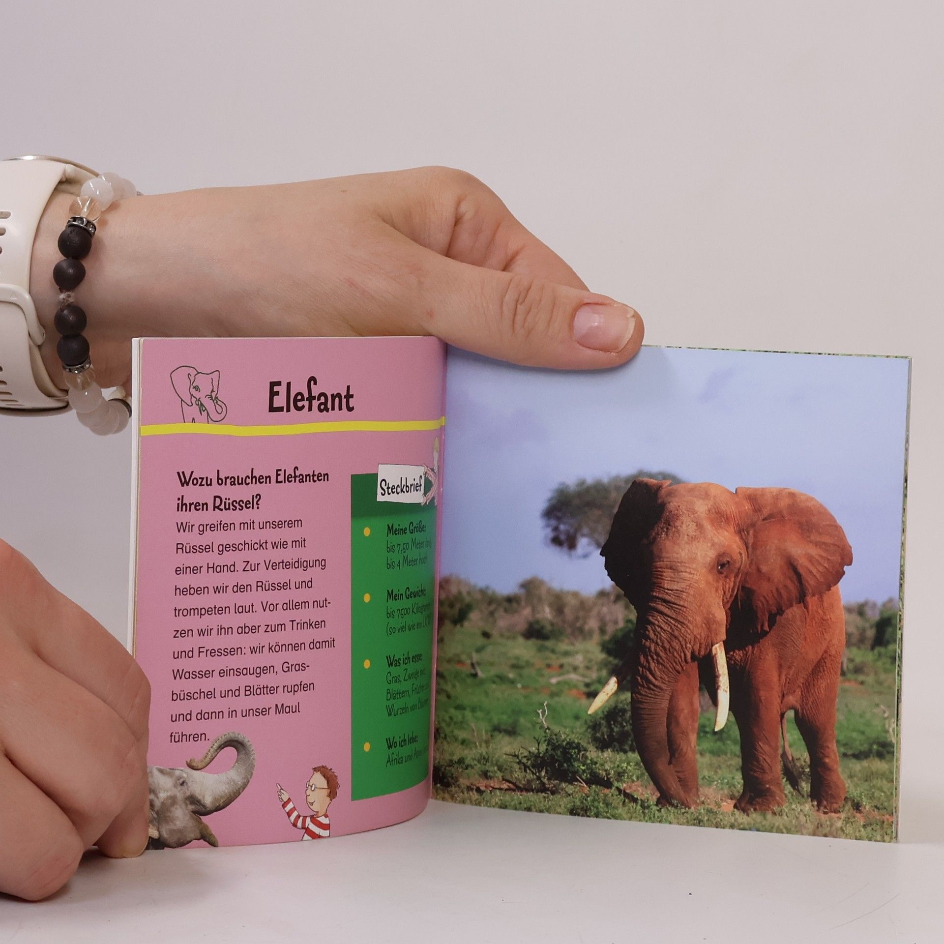 Autorenkollektiv Der Kinder Brockhaus. Zootiere