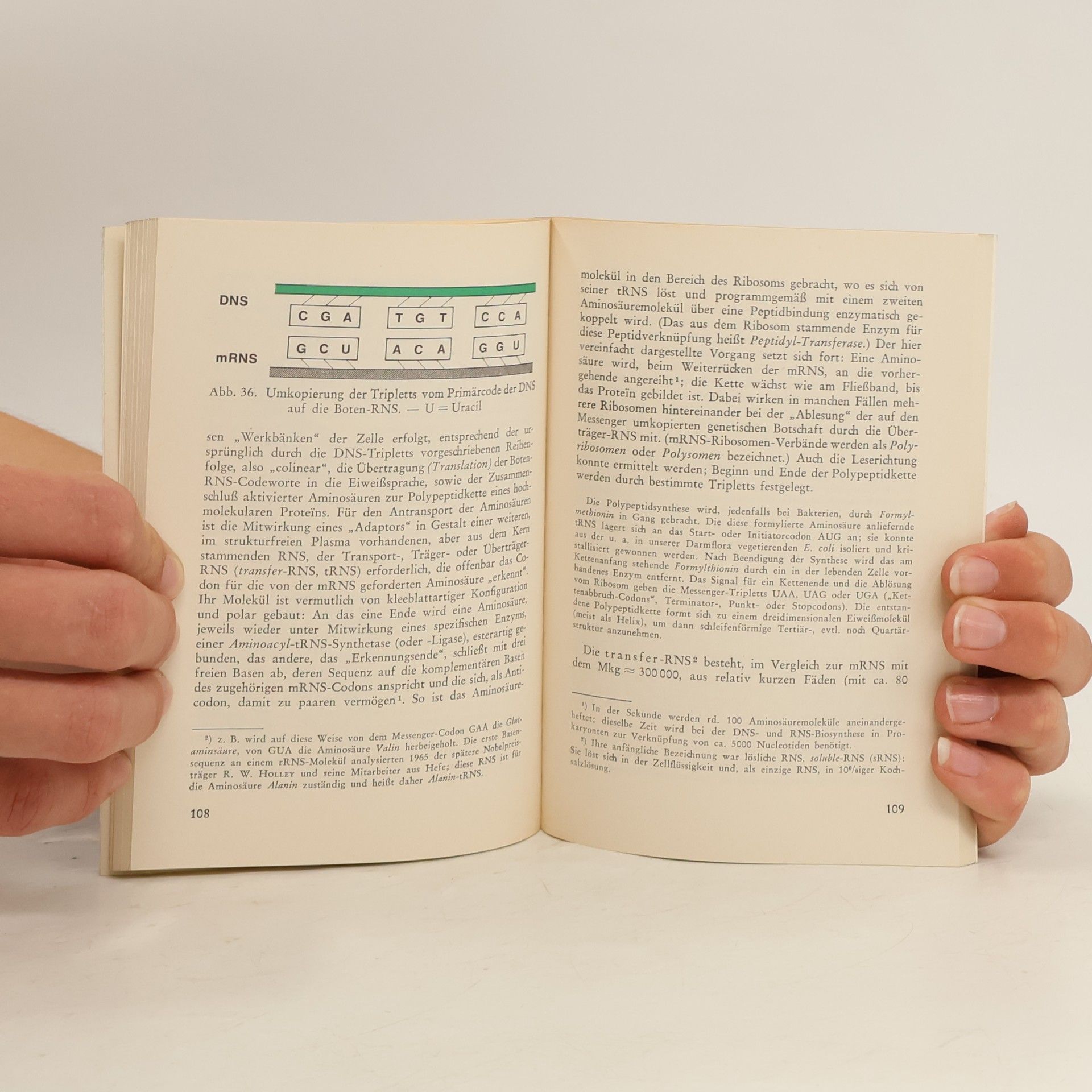 Gerhard Benl Vererbung. Eine kurze Einführung in die Grundlagen der klassischen und modernen Genetik. 2. Auflage, verbessert und erweitert