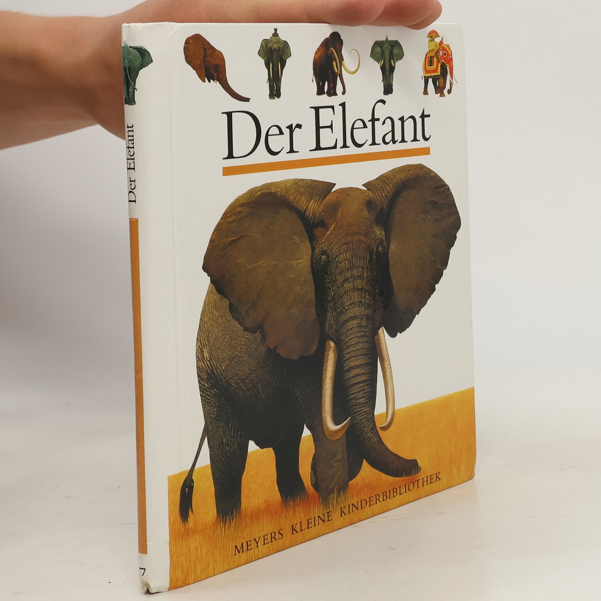 Der Elefant