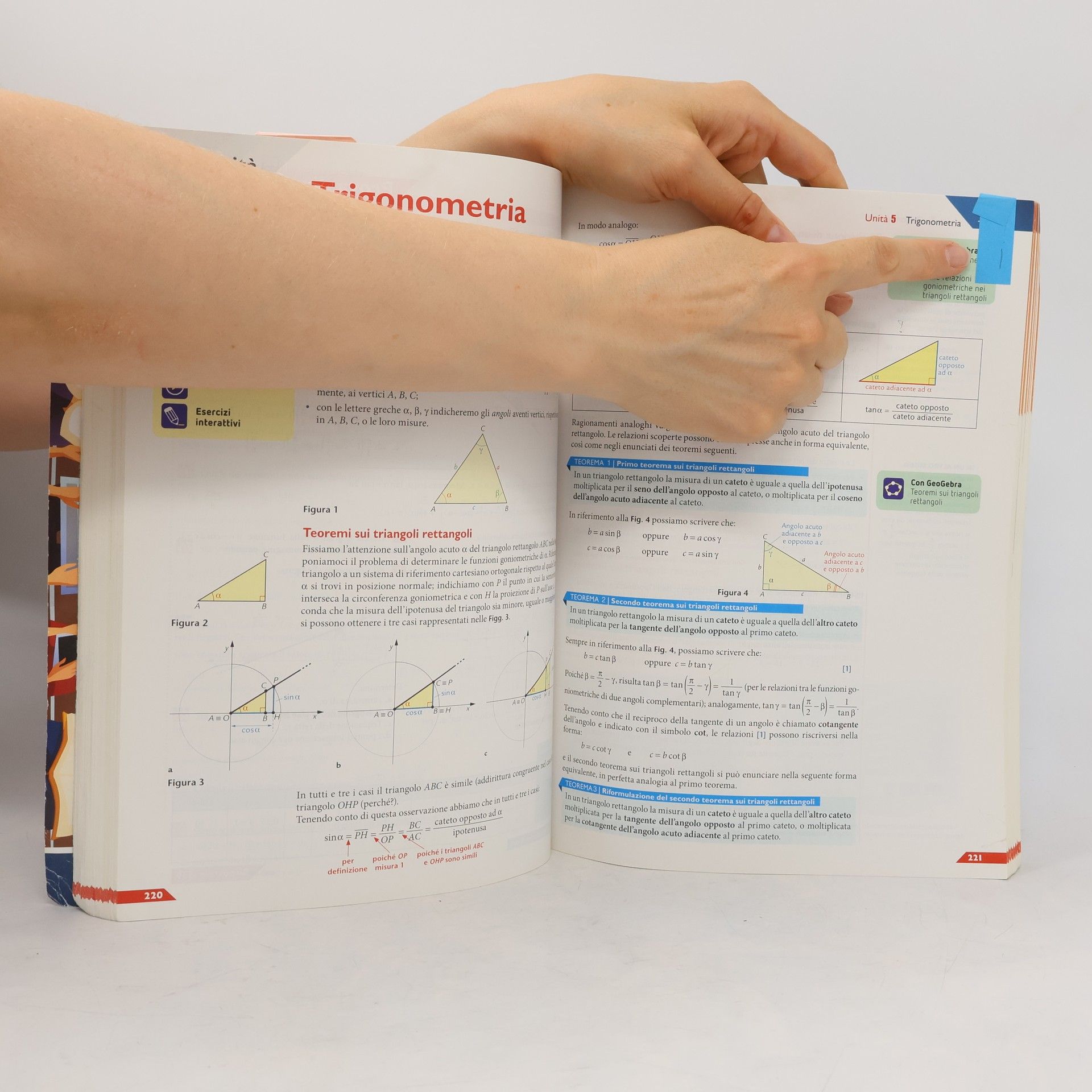 Leonardo Sasso Colori della Matematica