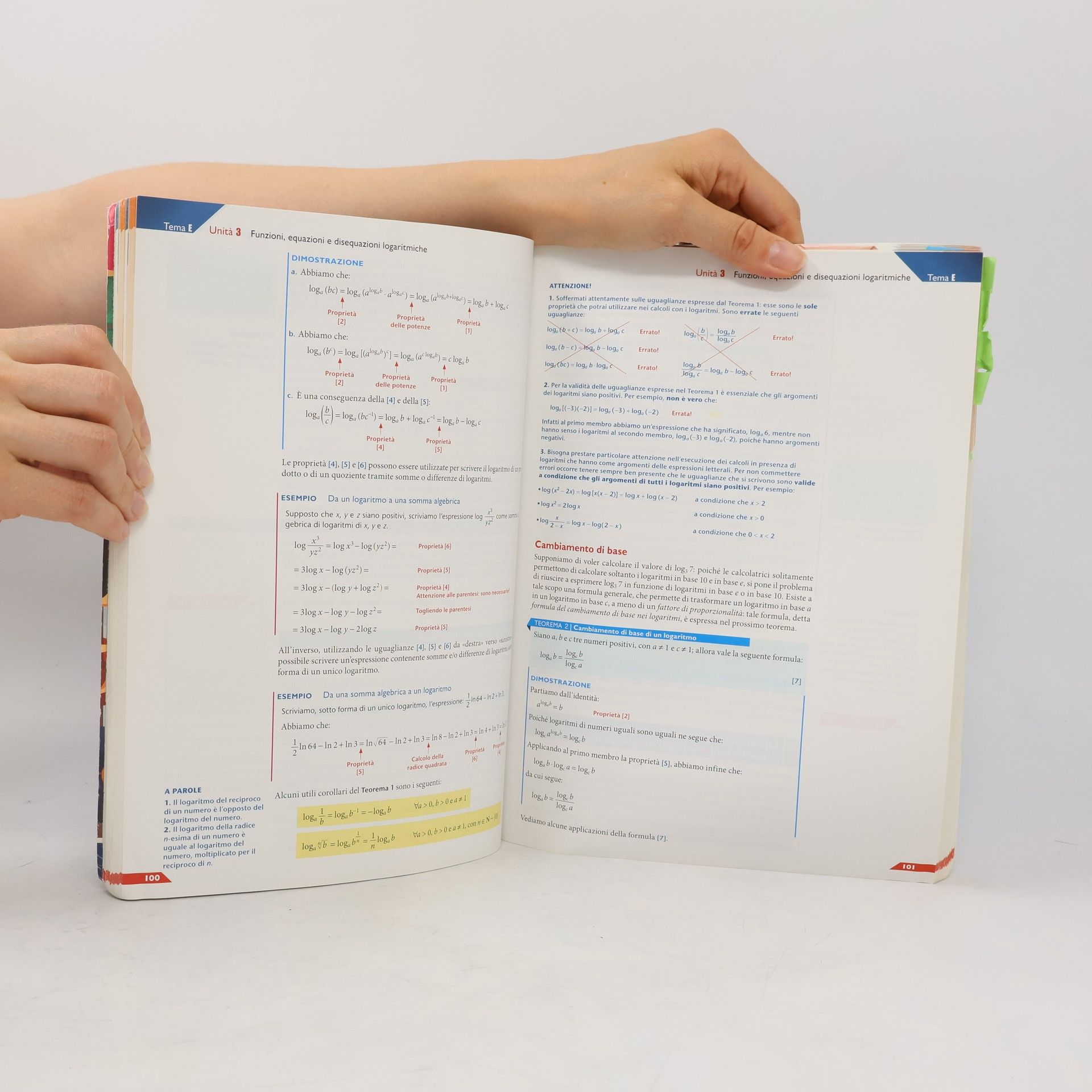 Leonardo Sasso Colori della Matematica