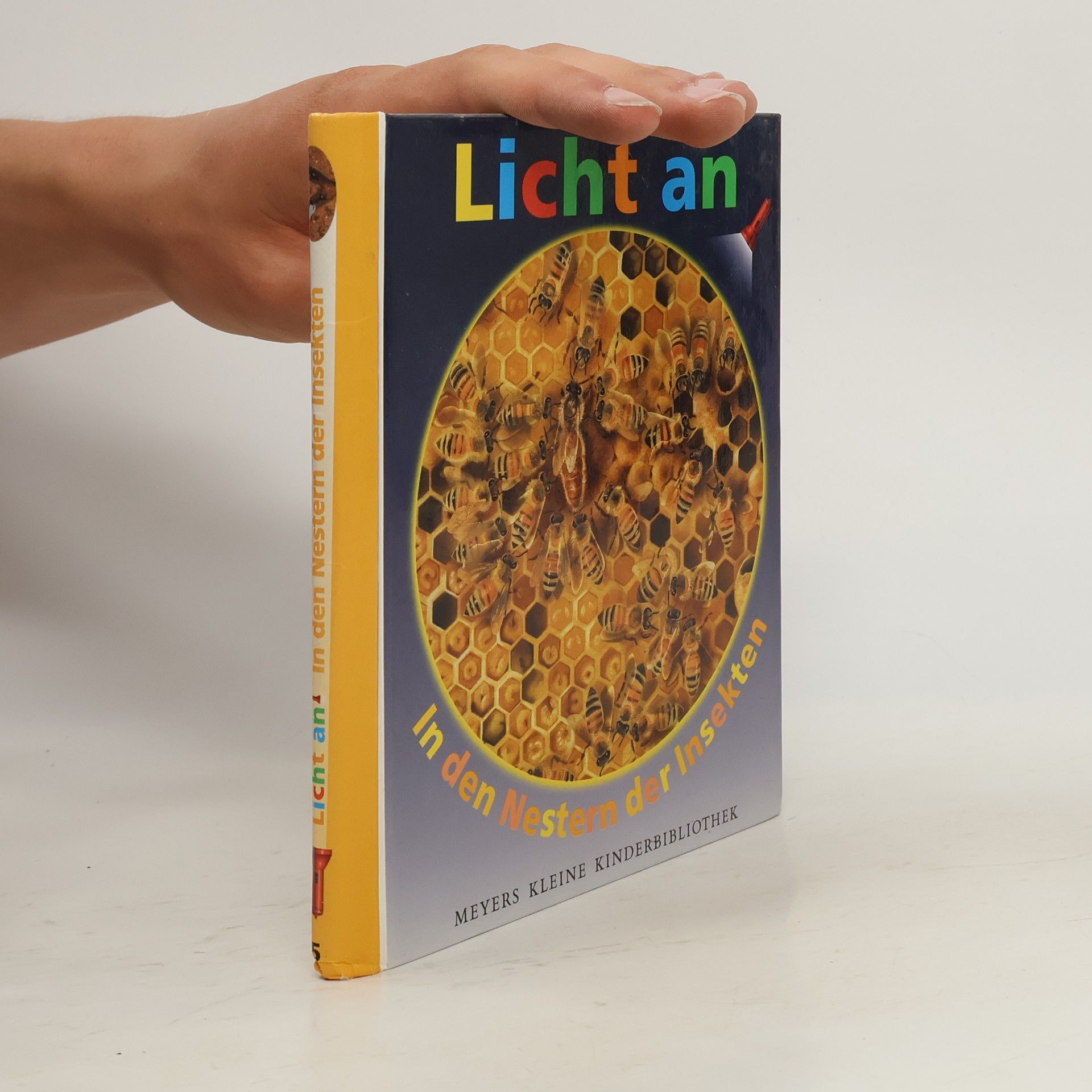 In den Nestern der Insekten