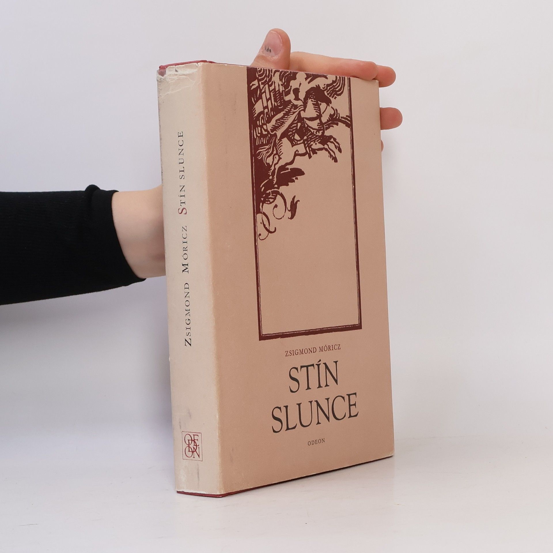 Zsigmond Móricz Stín slunce