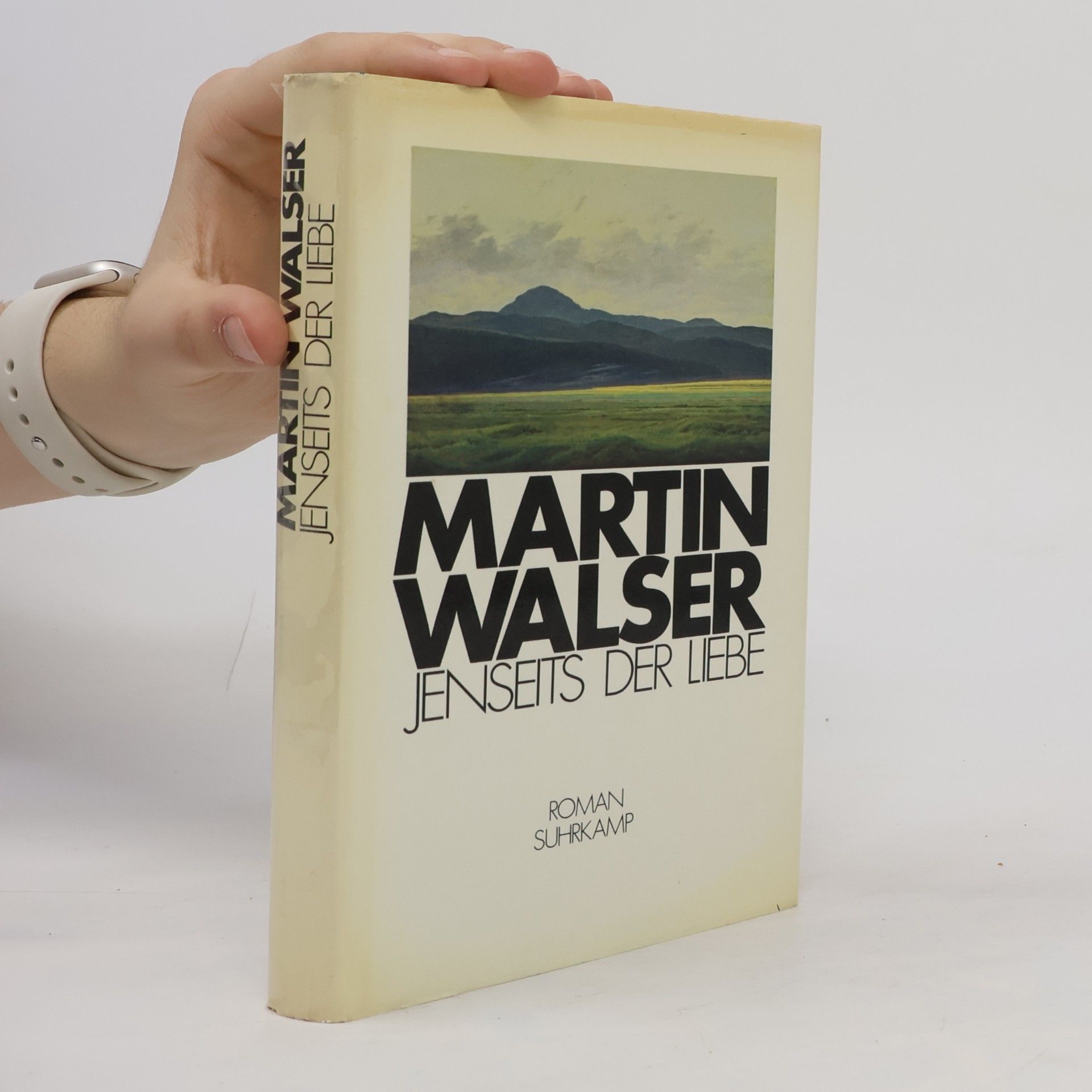 Martin Walser Jenseits der Liebe