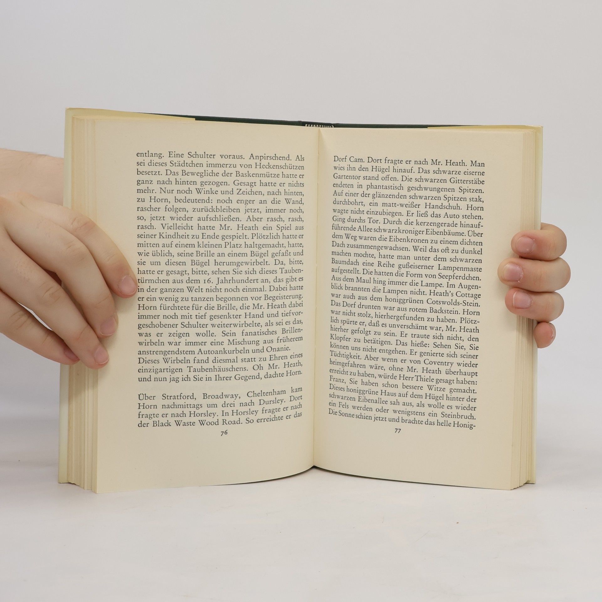 Martin Walser Jenseits der Liebe